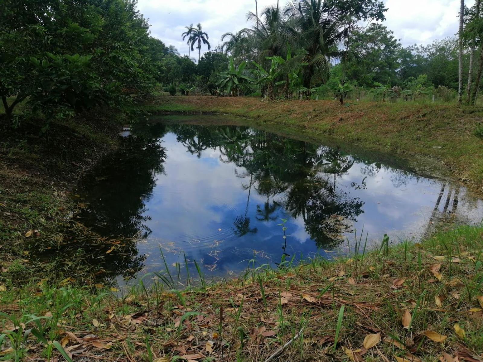 FINCA AGROTURISTICA VILLA MANE