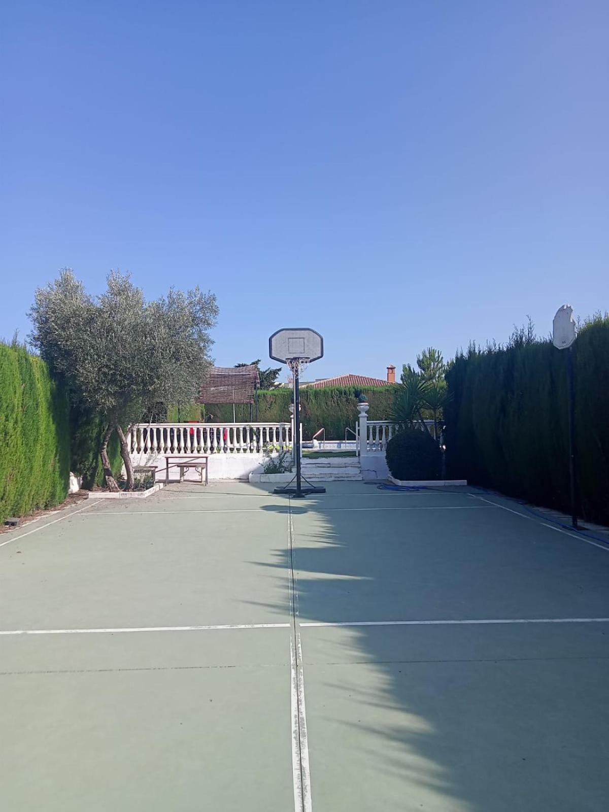 Photo 19