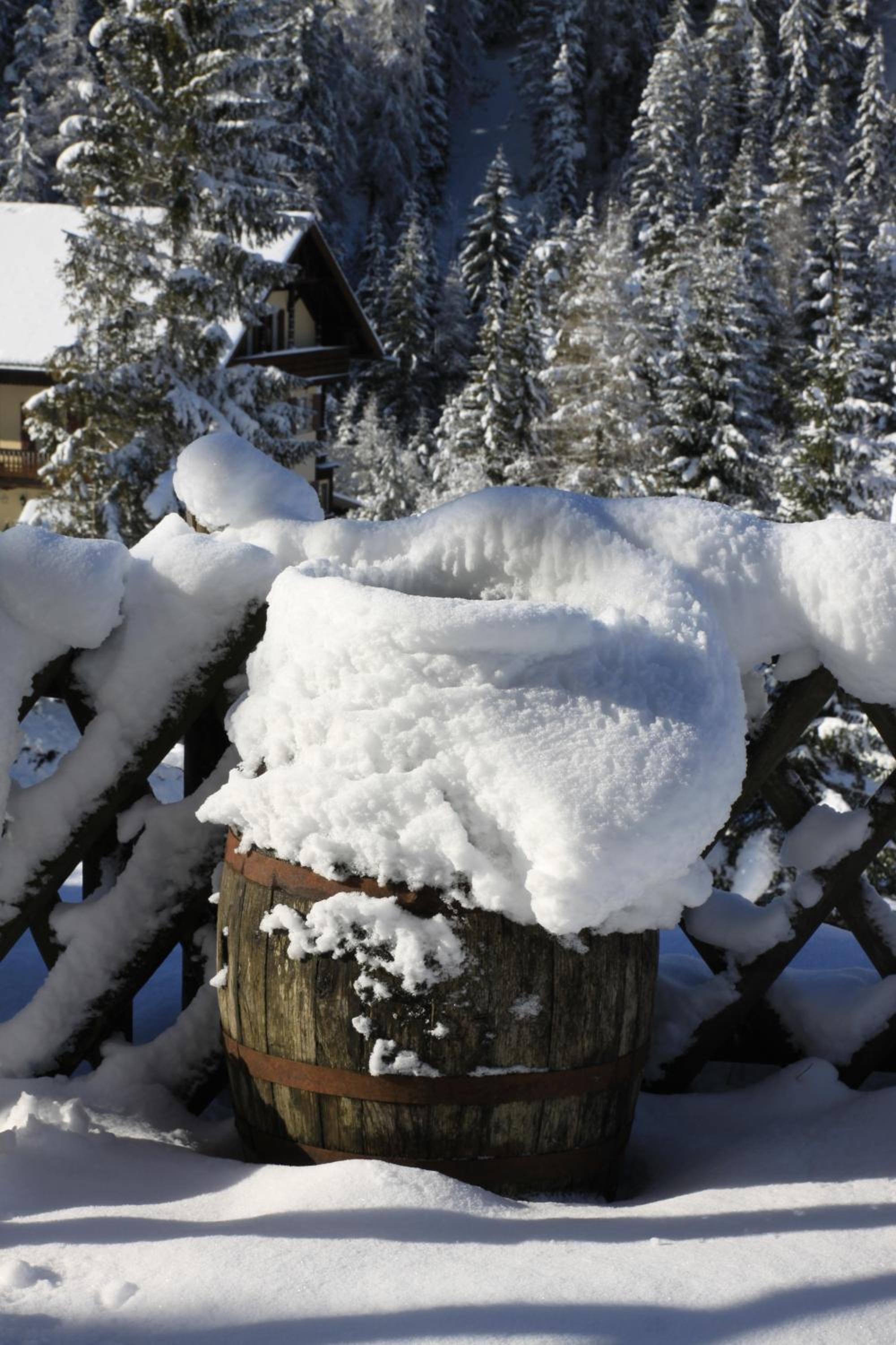 Ferienhaus Panorama