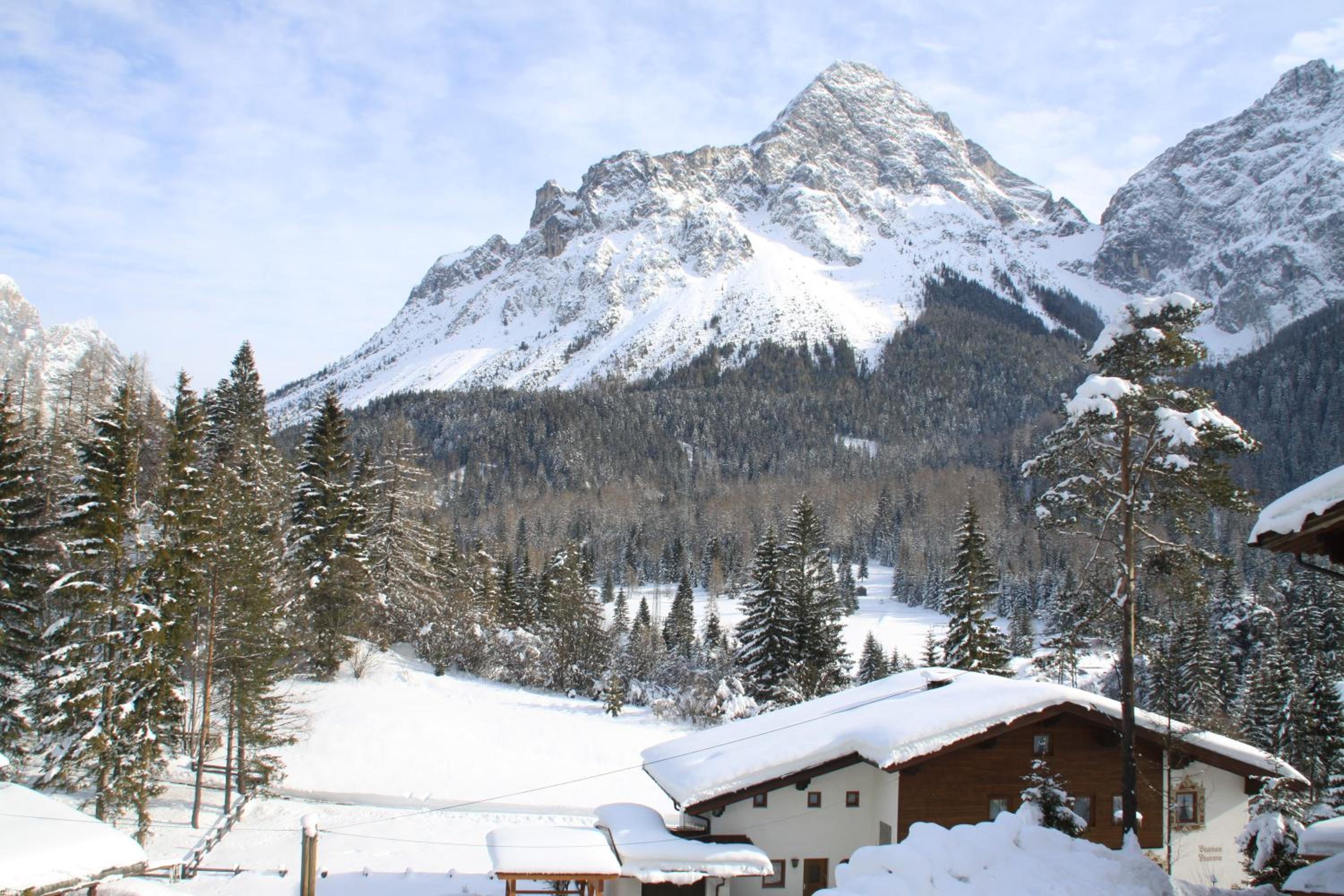 Ferienhaus Panorama