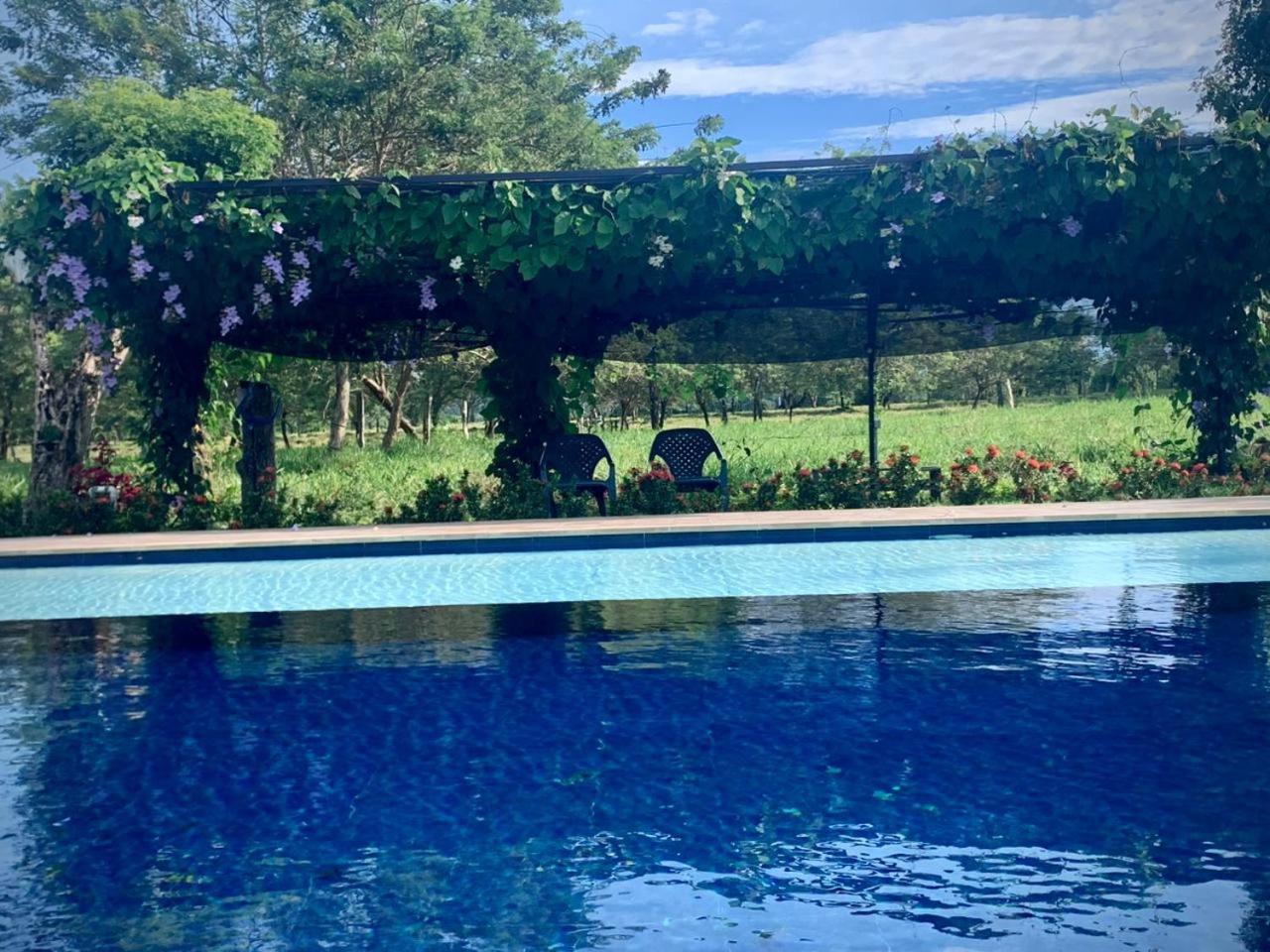 Los Potrillos
