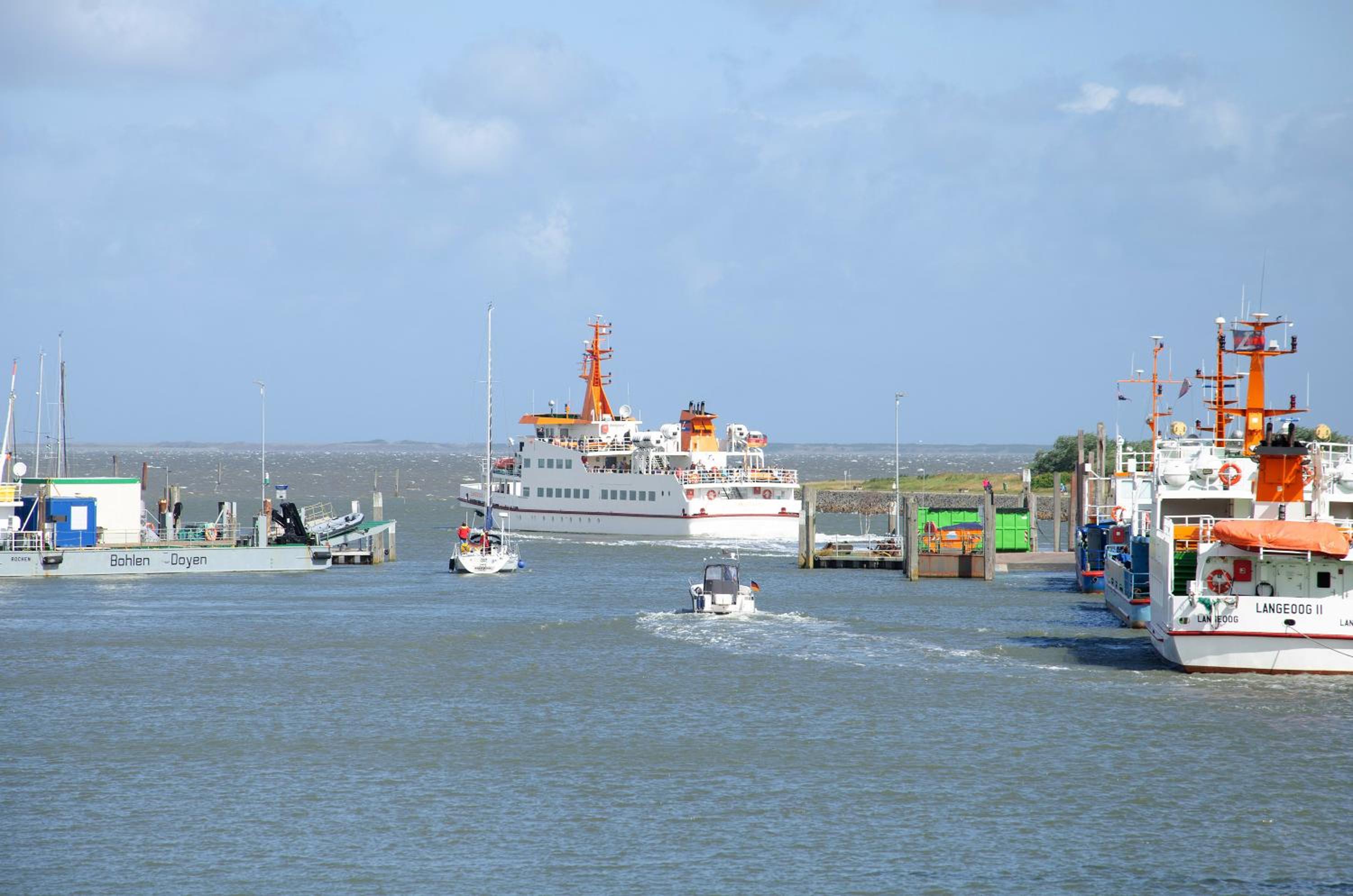 Photo 42