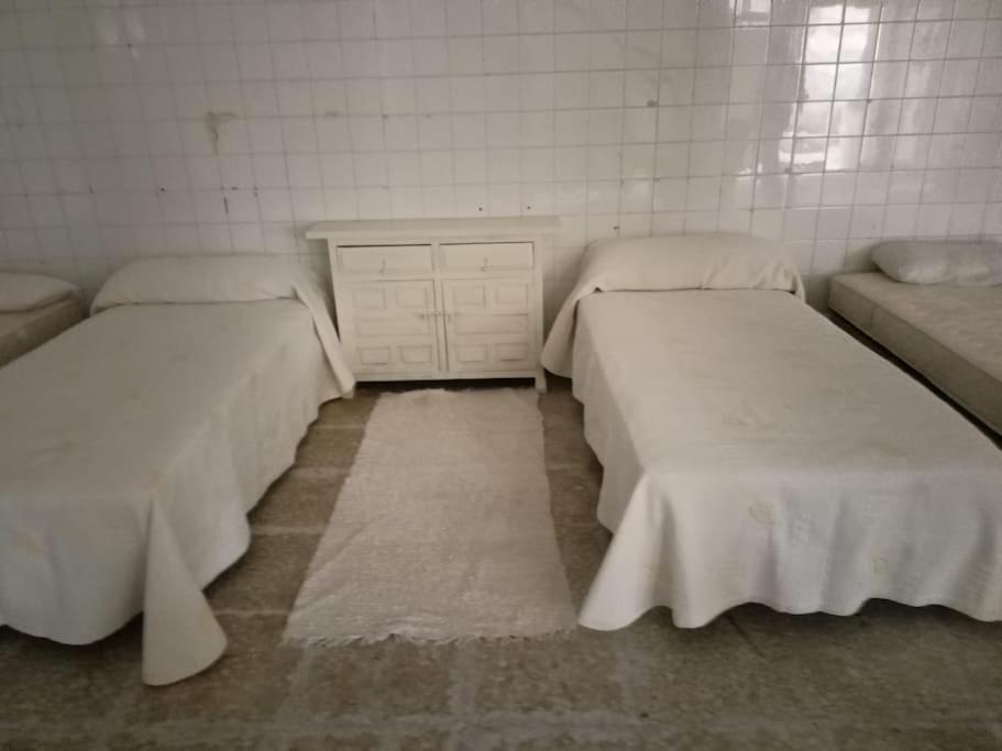 Bajo Loft con cocina y baño separados view 5