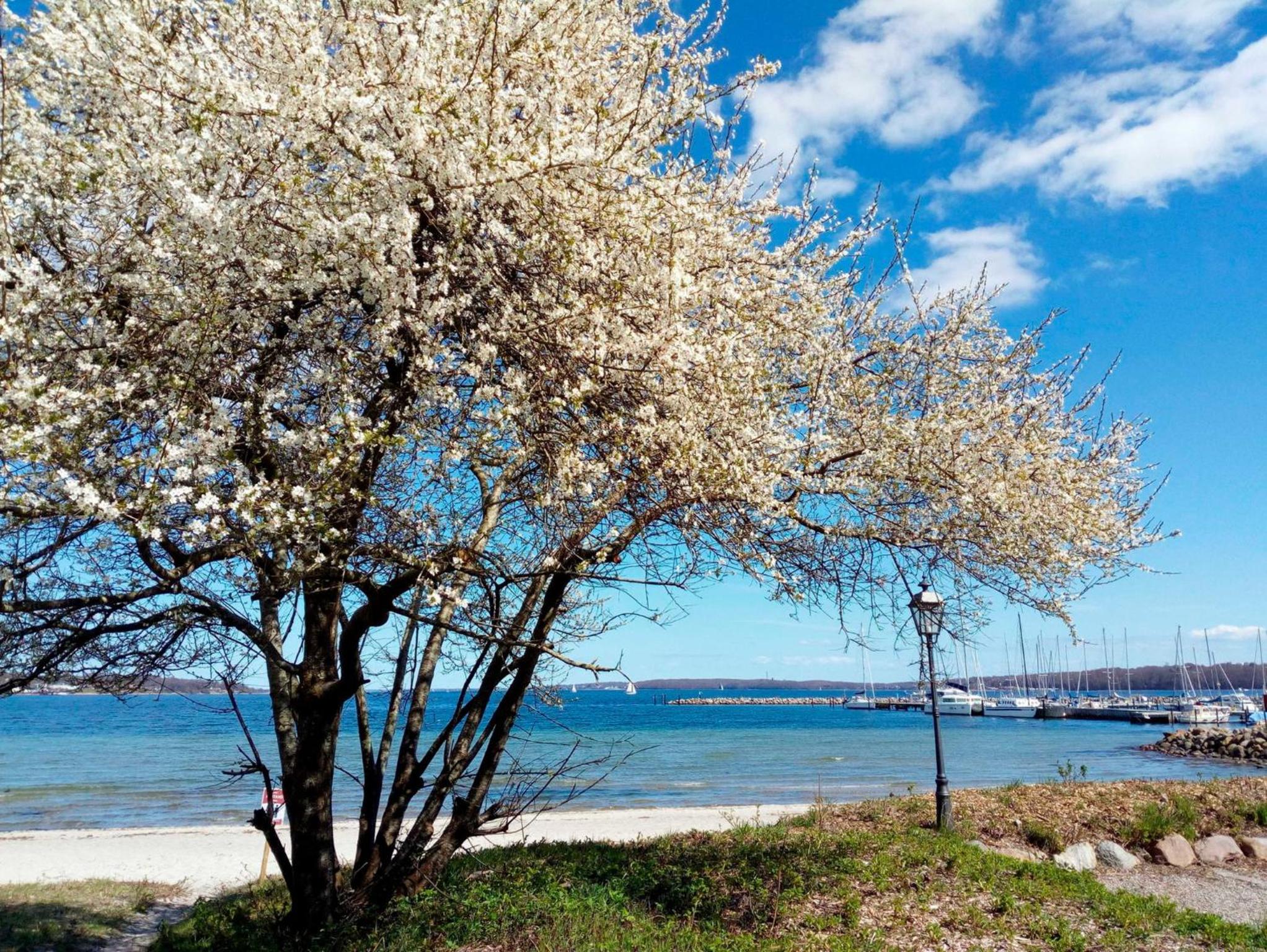 Appartement Fördetraum am Strand von Wassersleben App 9