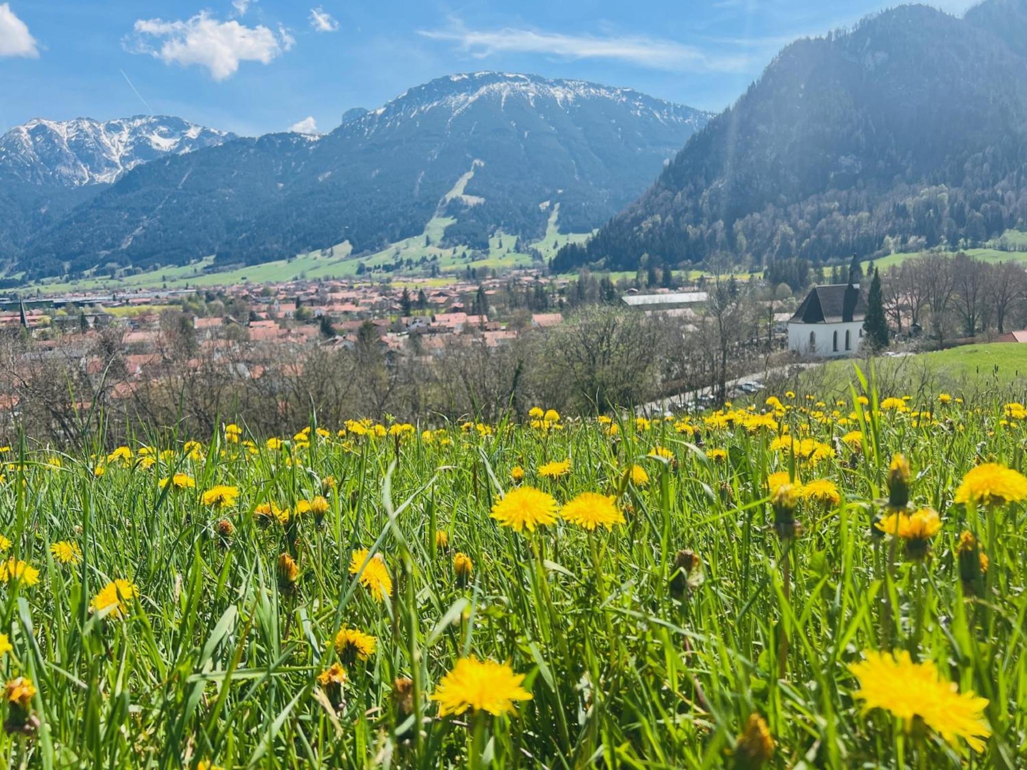 Ferienhaus Sommer en Pfronten