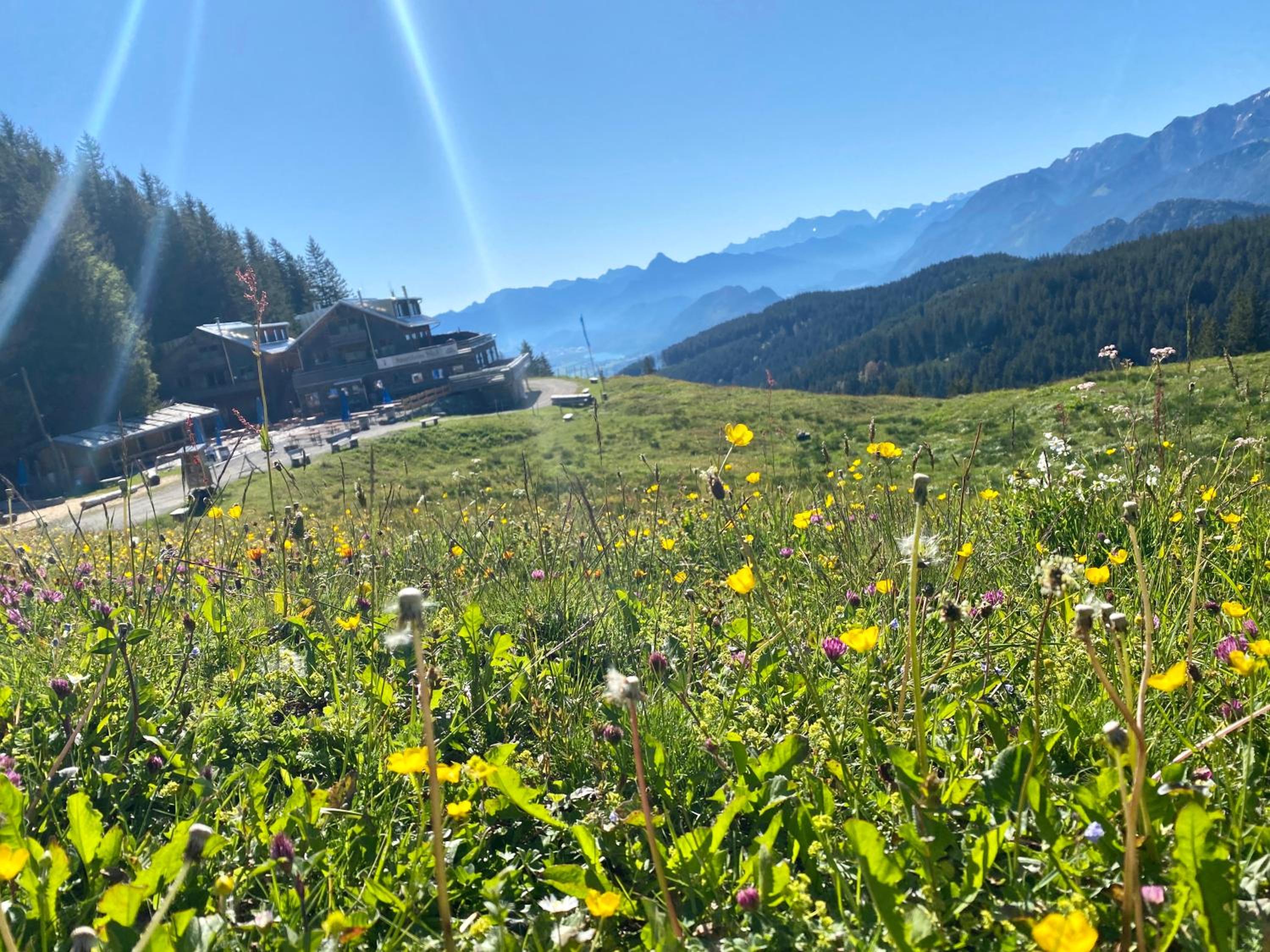 Ferienhaus Sommer en Pfronten