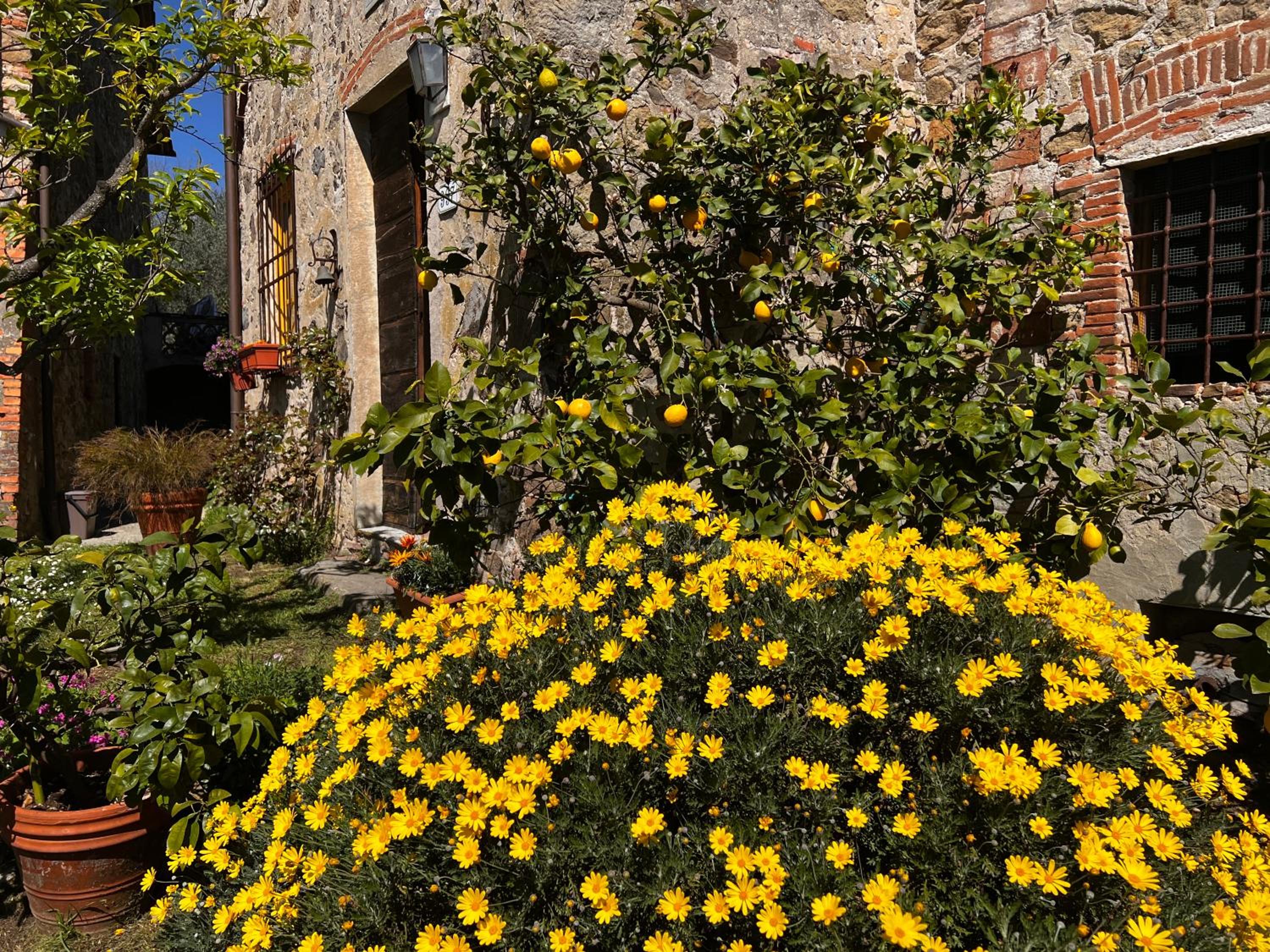 La Casina dei Frati view 3