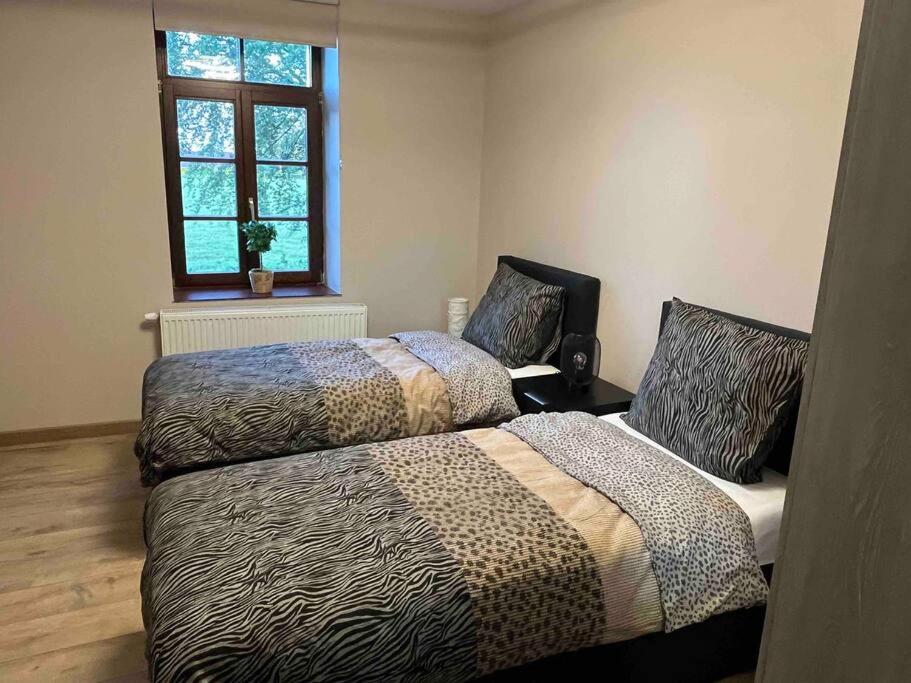 Appartement situé dans la nature des Hautes-Fagnes