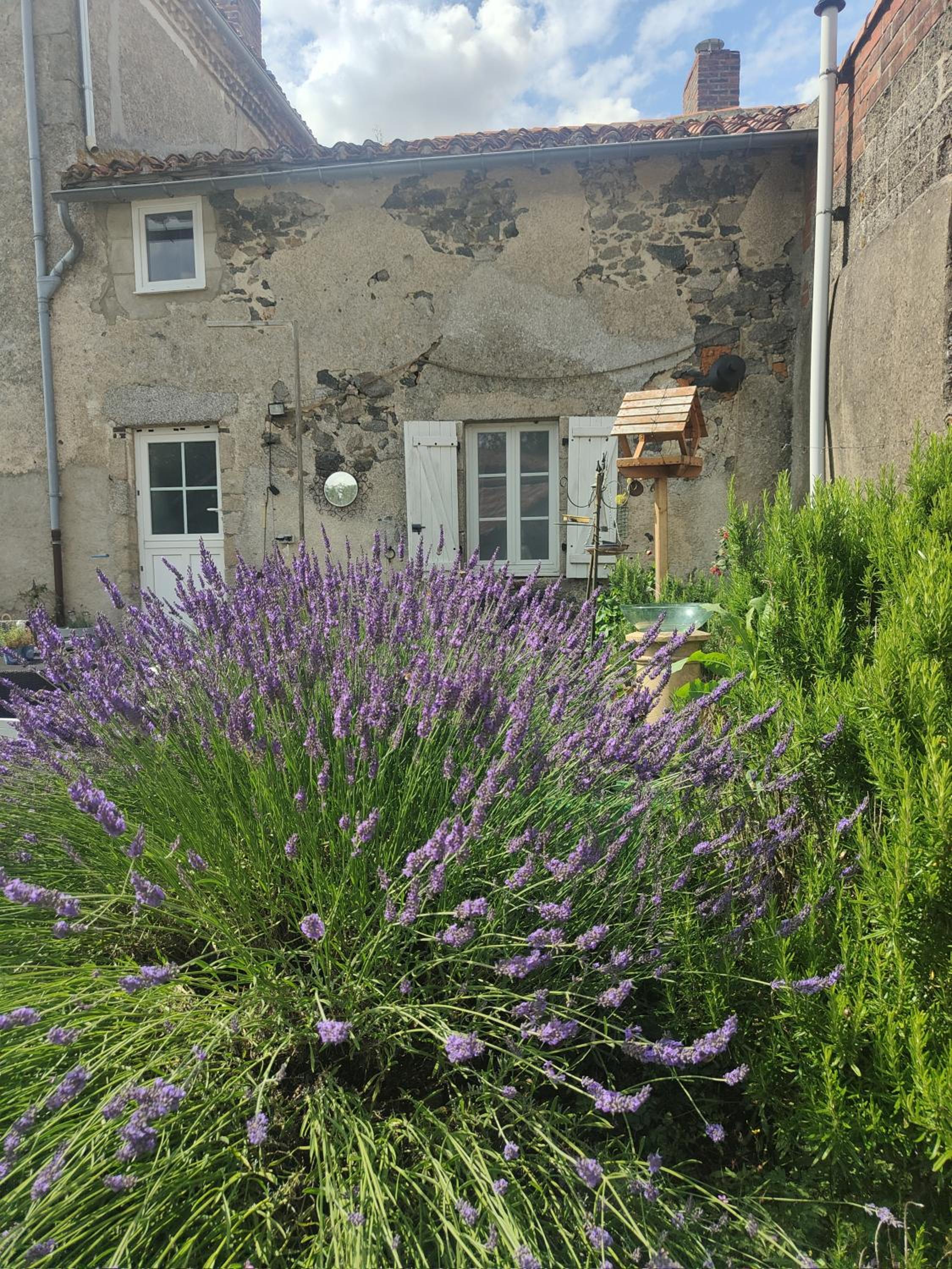 Wisteria House