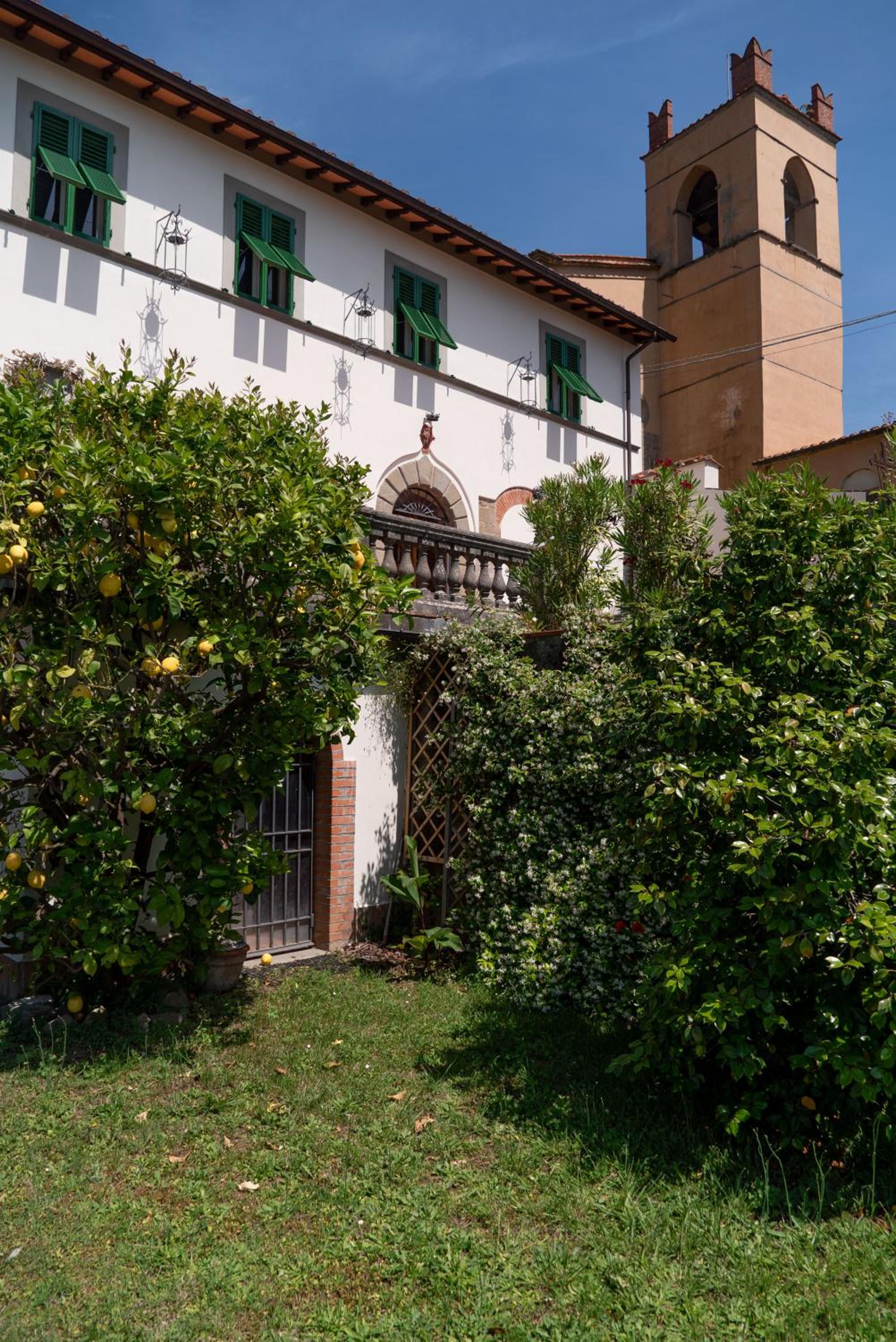 Photo 7
