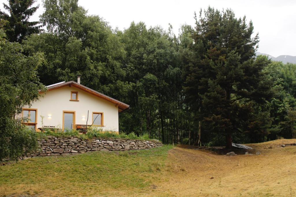 La Casa Nel Bosco - Natura & Relax view 4
