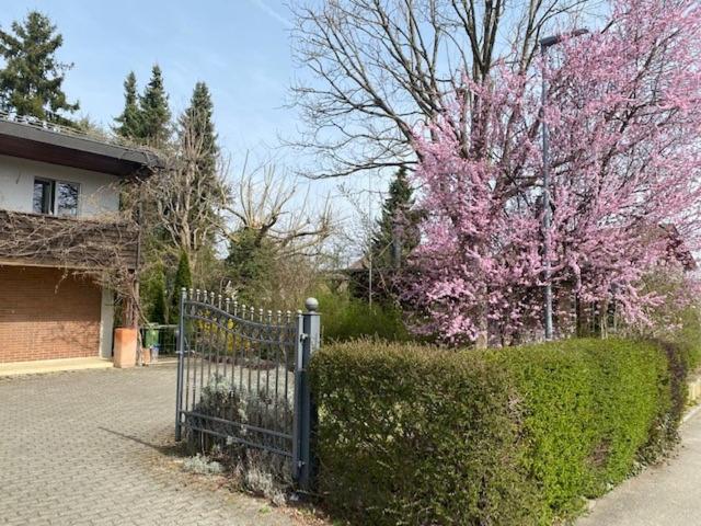 Apartments in Leafy Suburb view 2