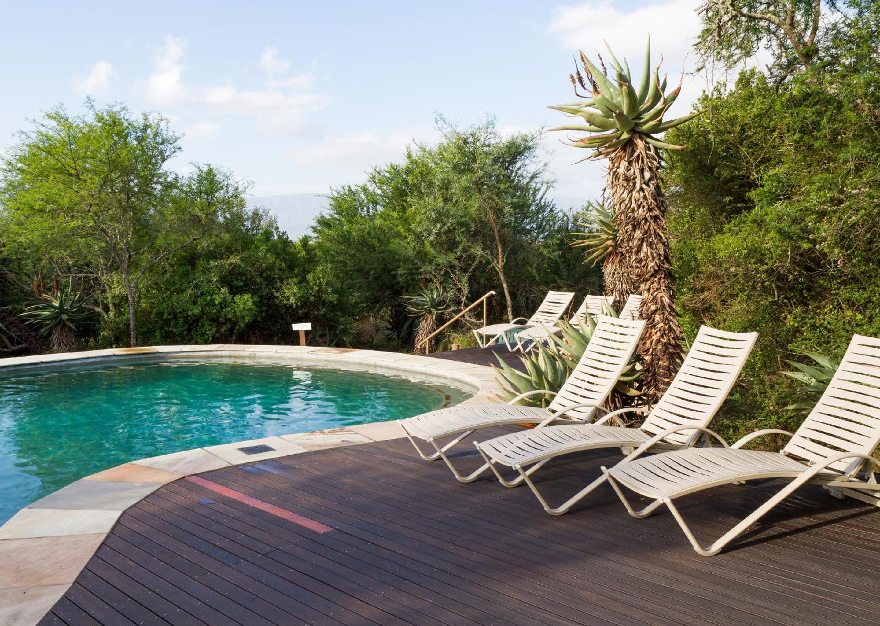 Stonehill River Lodge by Dream Resorts