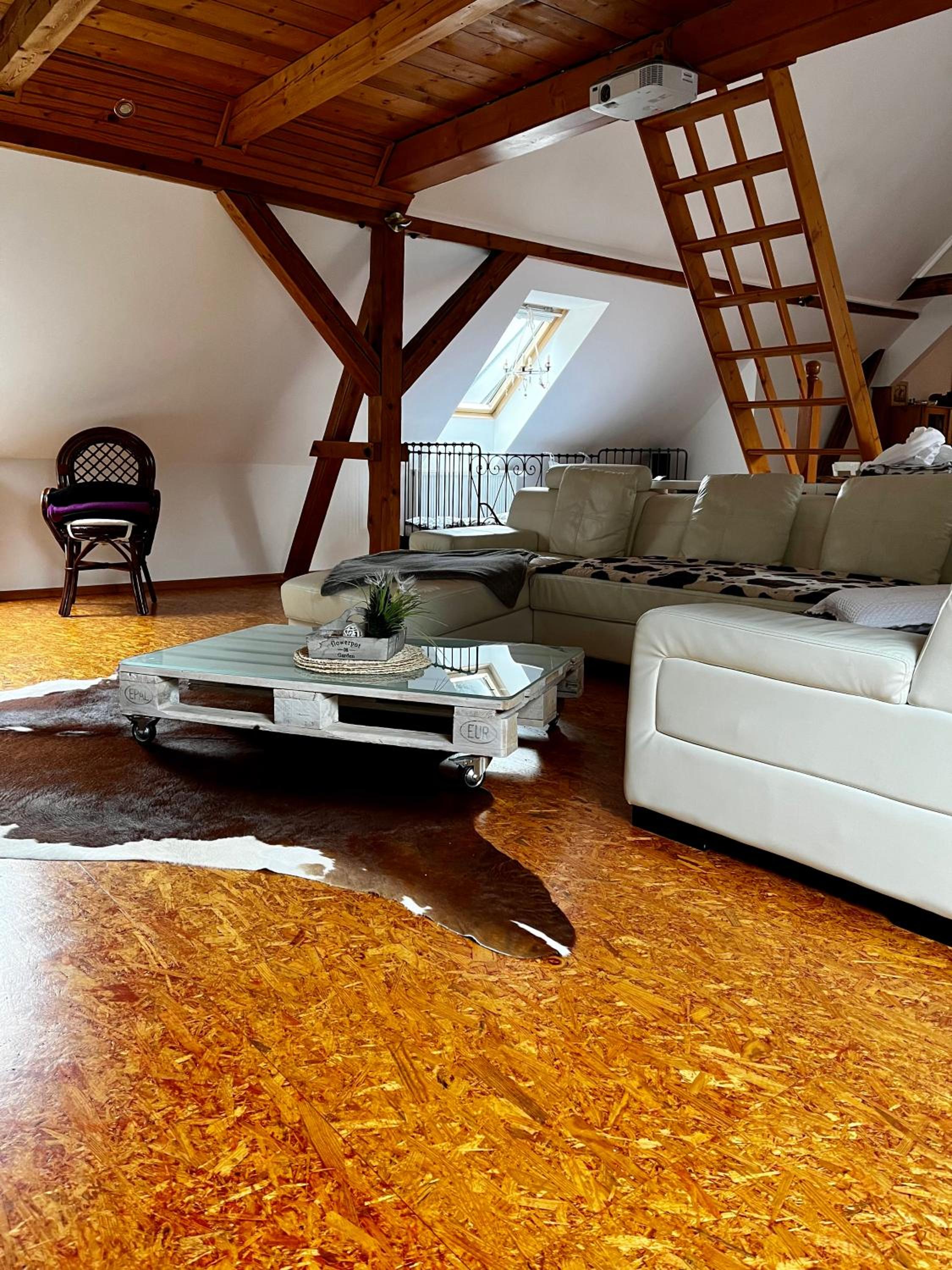 Apartmán na horách, Plešivec