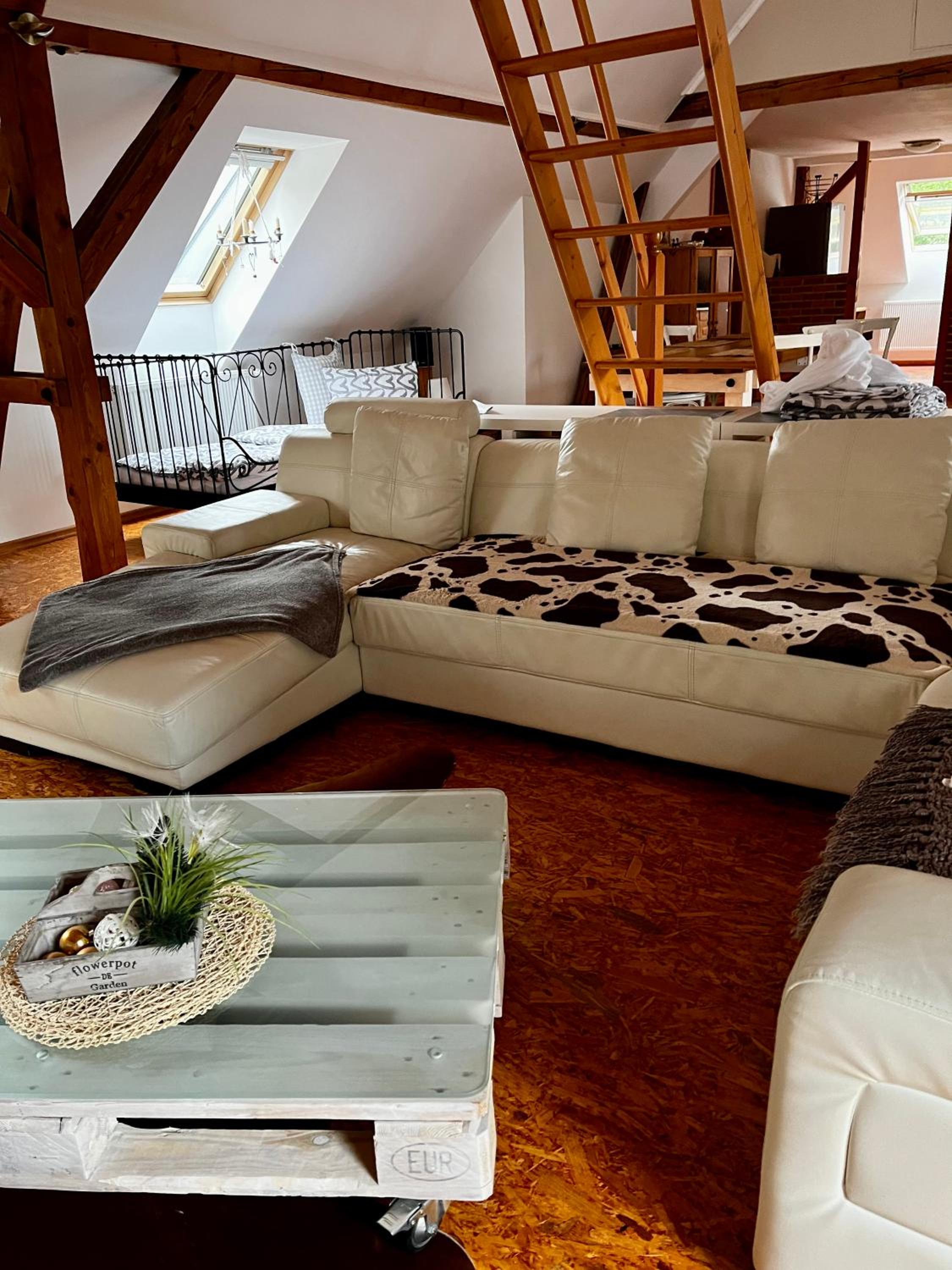 Apartmán na horách, Plešivec