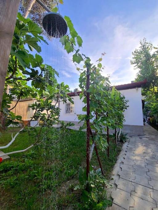 Seaside Cottage with Garden