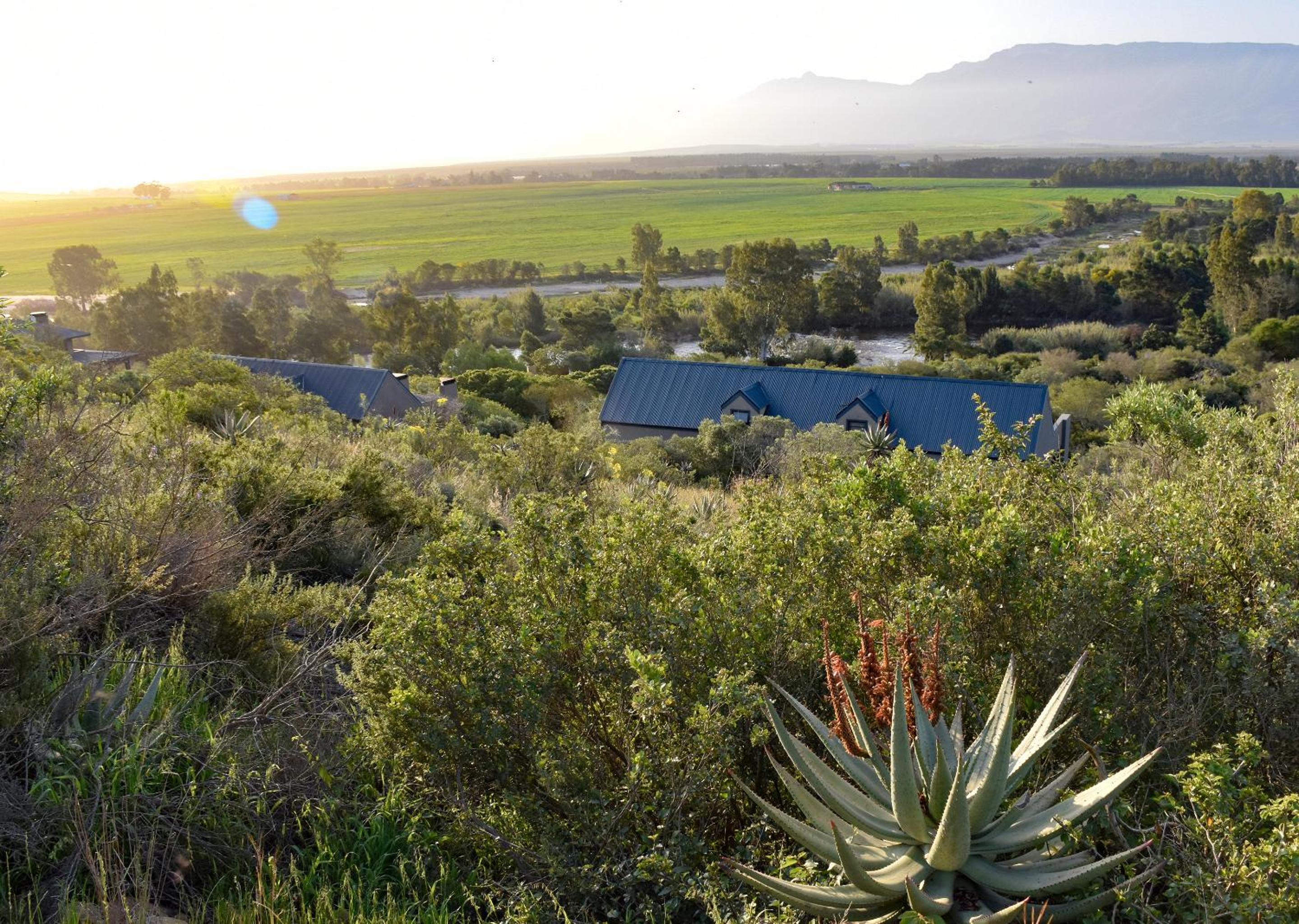 Stonehill River Lodge by Dream Resorts