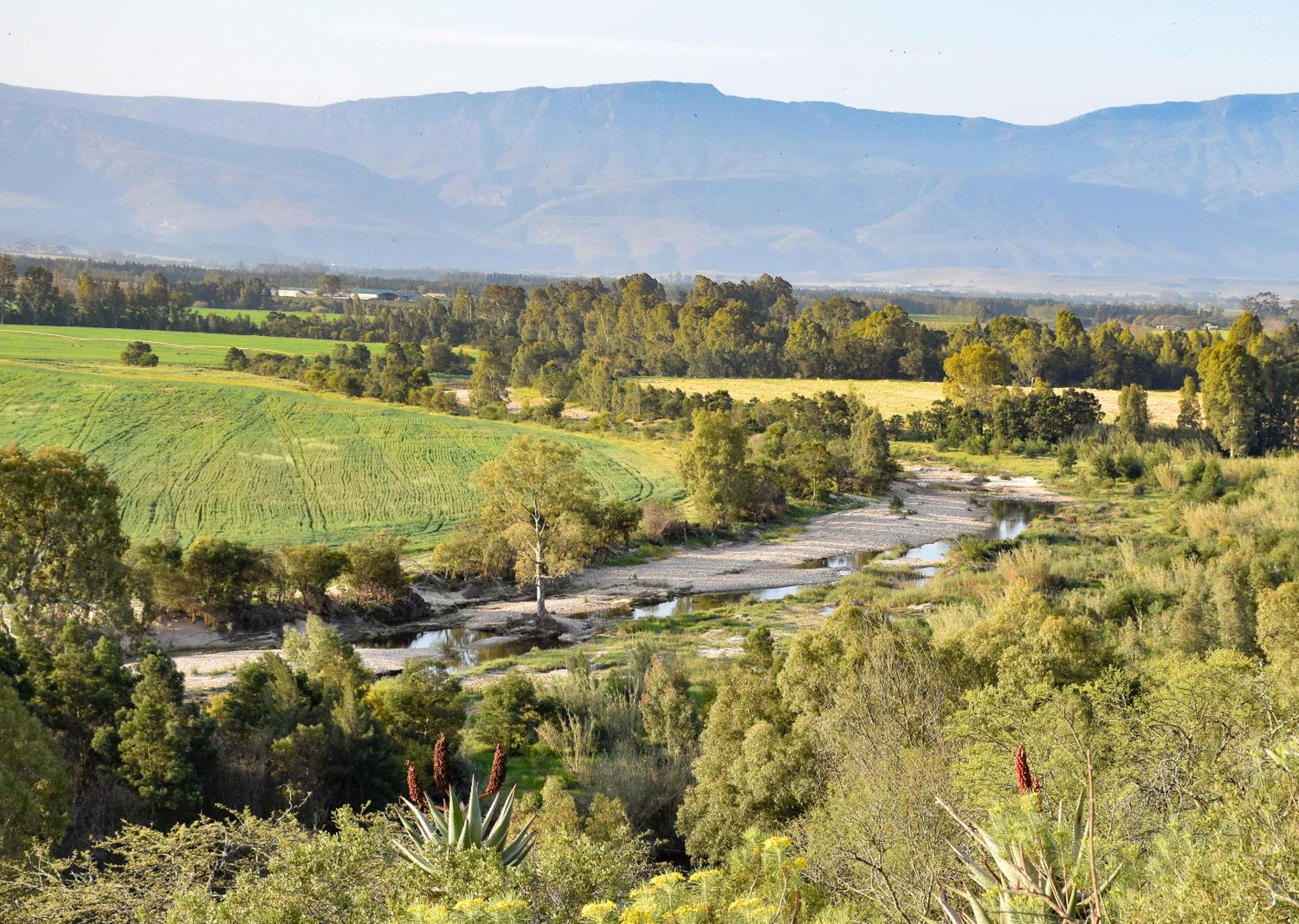 Stonehill River Lodge by Dream Resorts