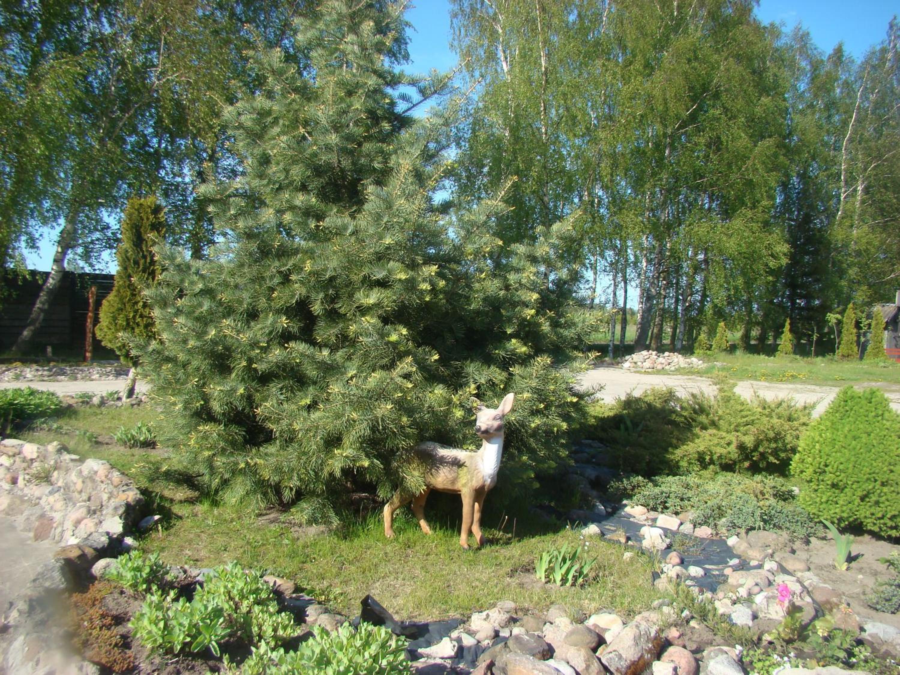 Photo 80