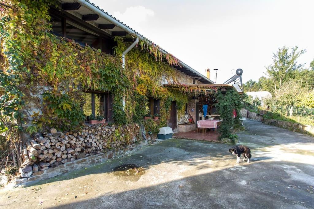 Casa Biax jardín y terraza privada junto al mar view 3