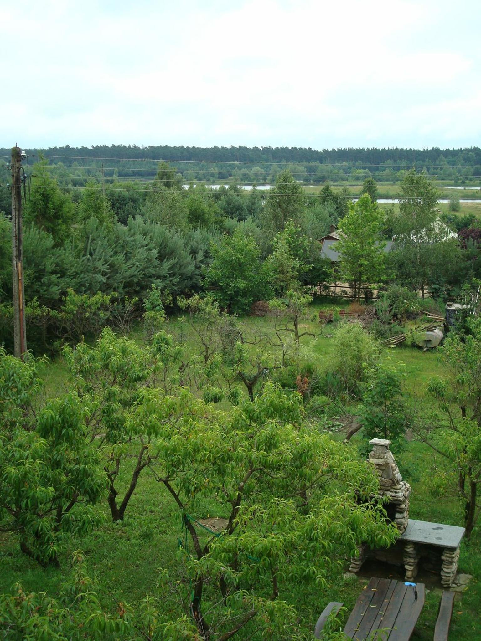W Starym Sadzie view 4