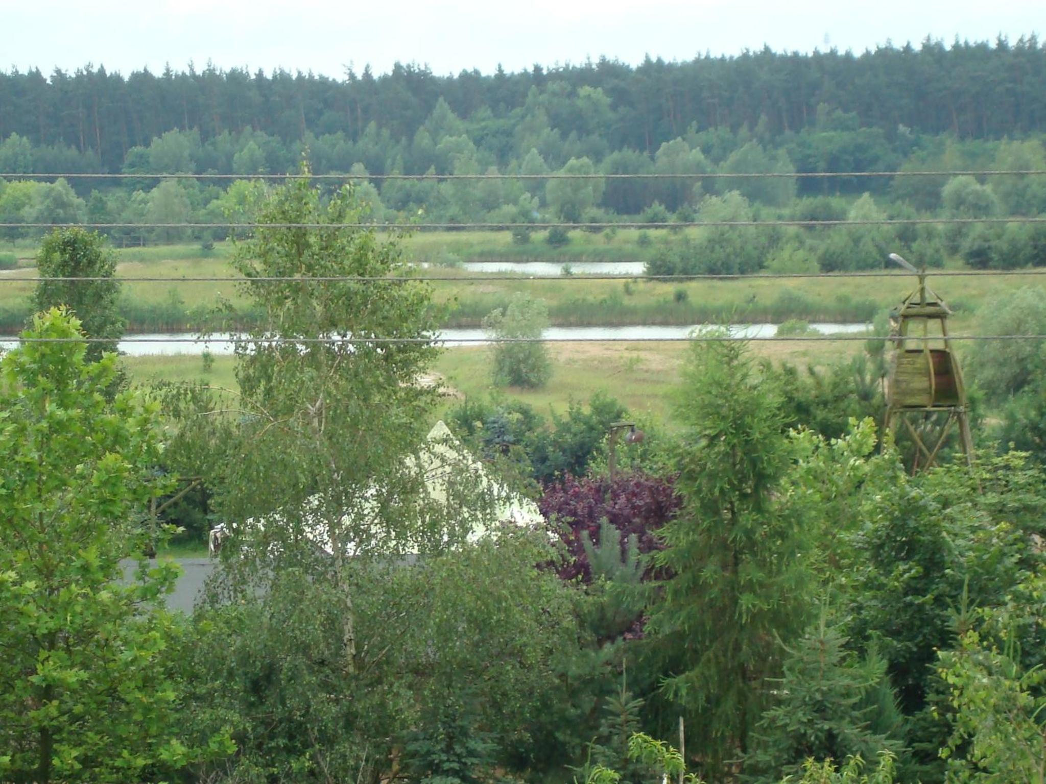 W Starym Sadzie view 3
