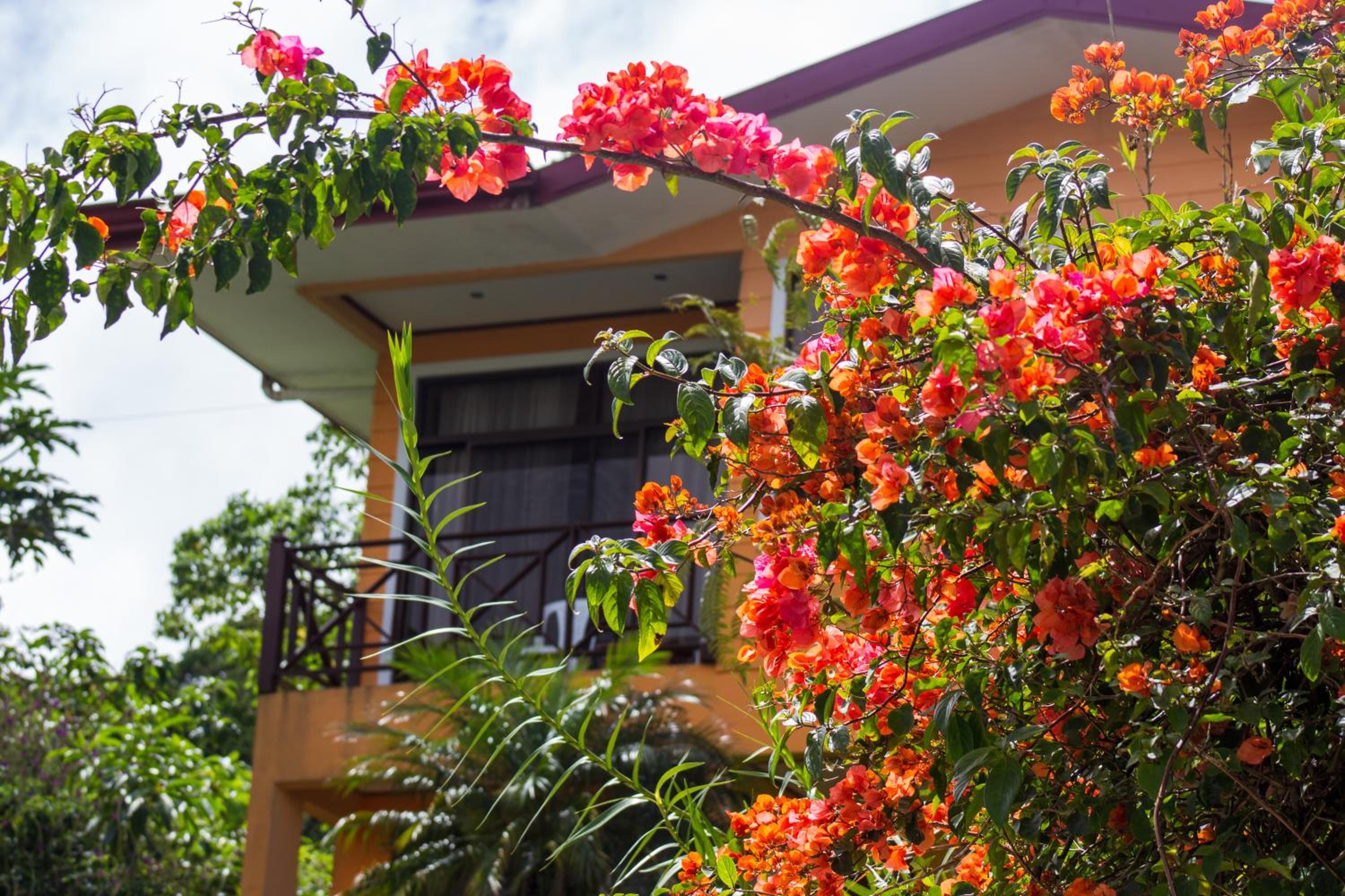 Arenal Garden Lodge