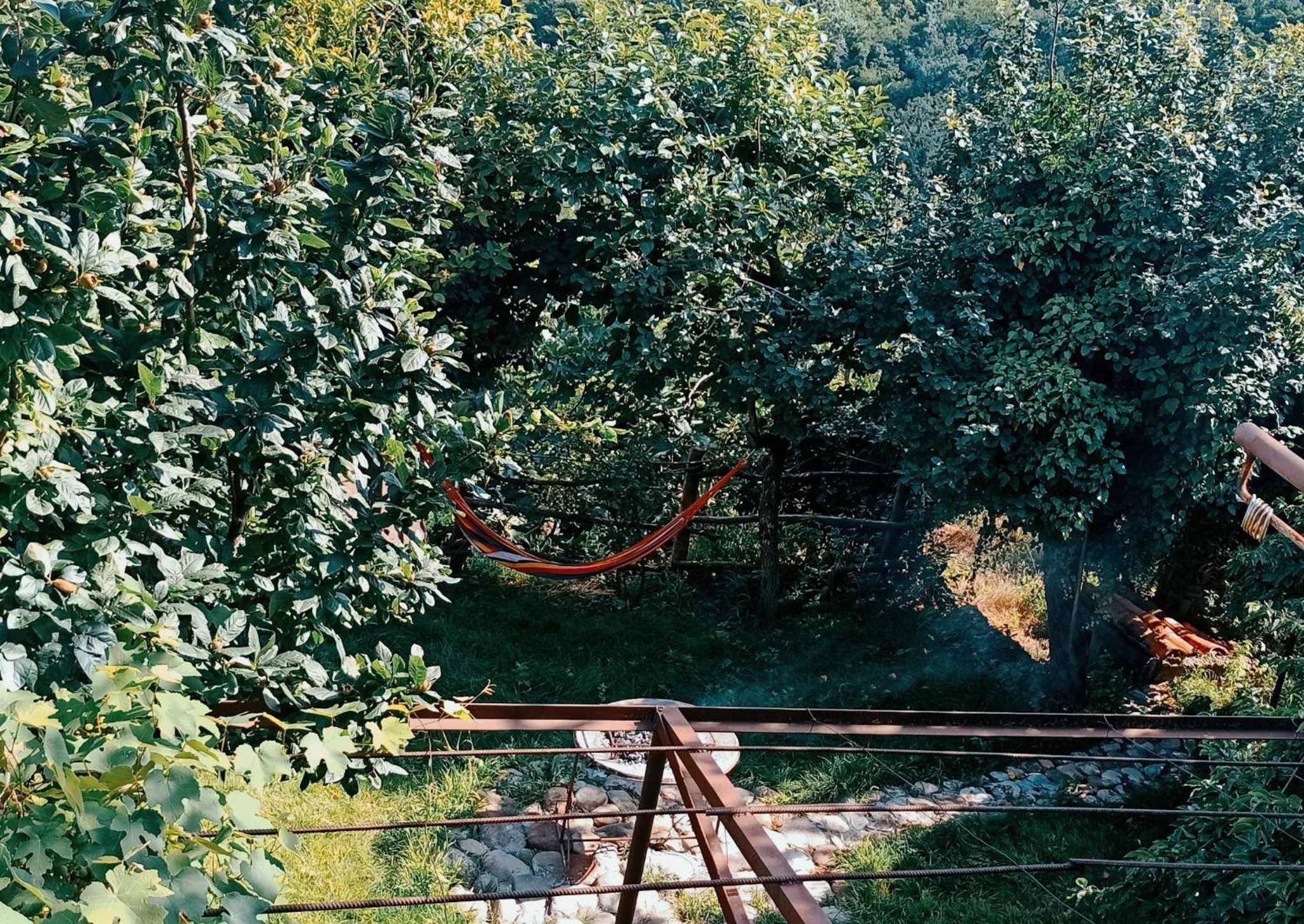 Photo 21