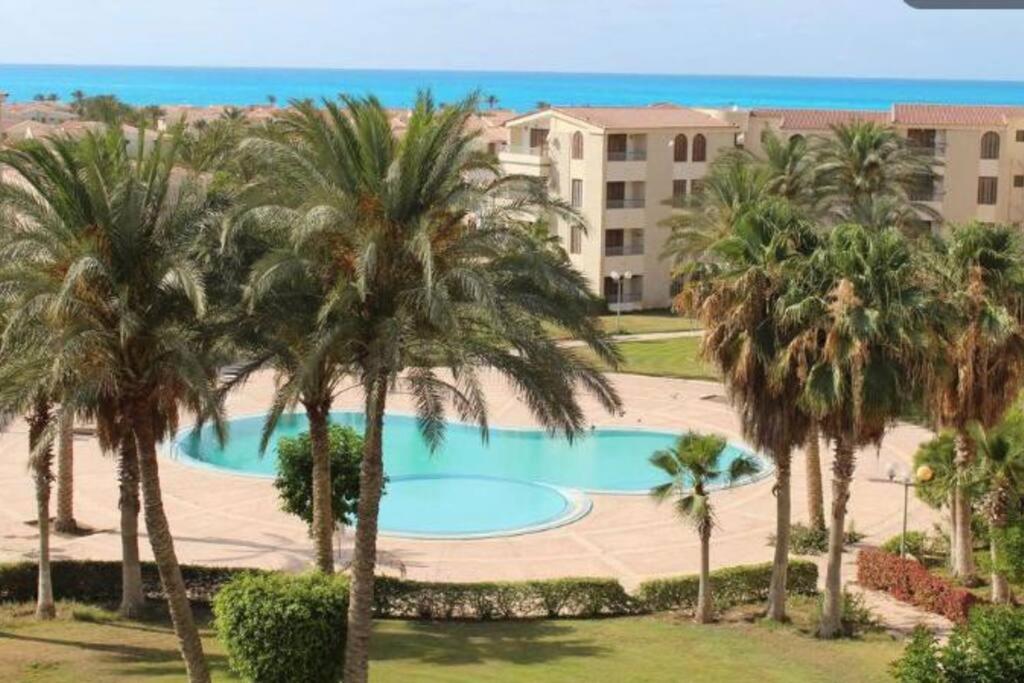 Diamond beach apartment
