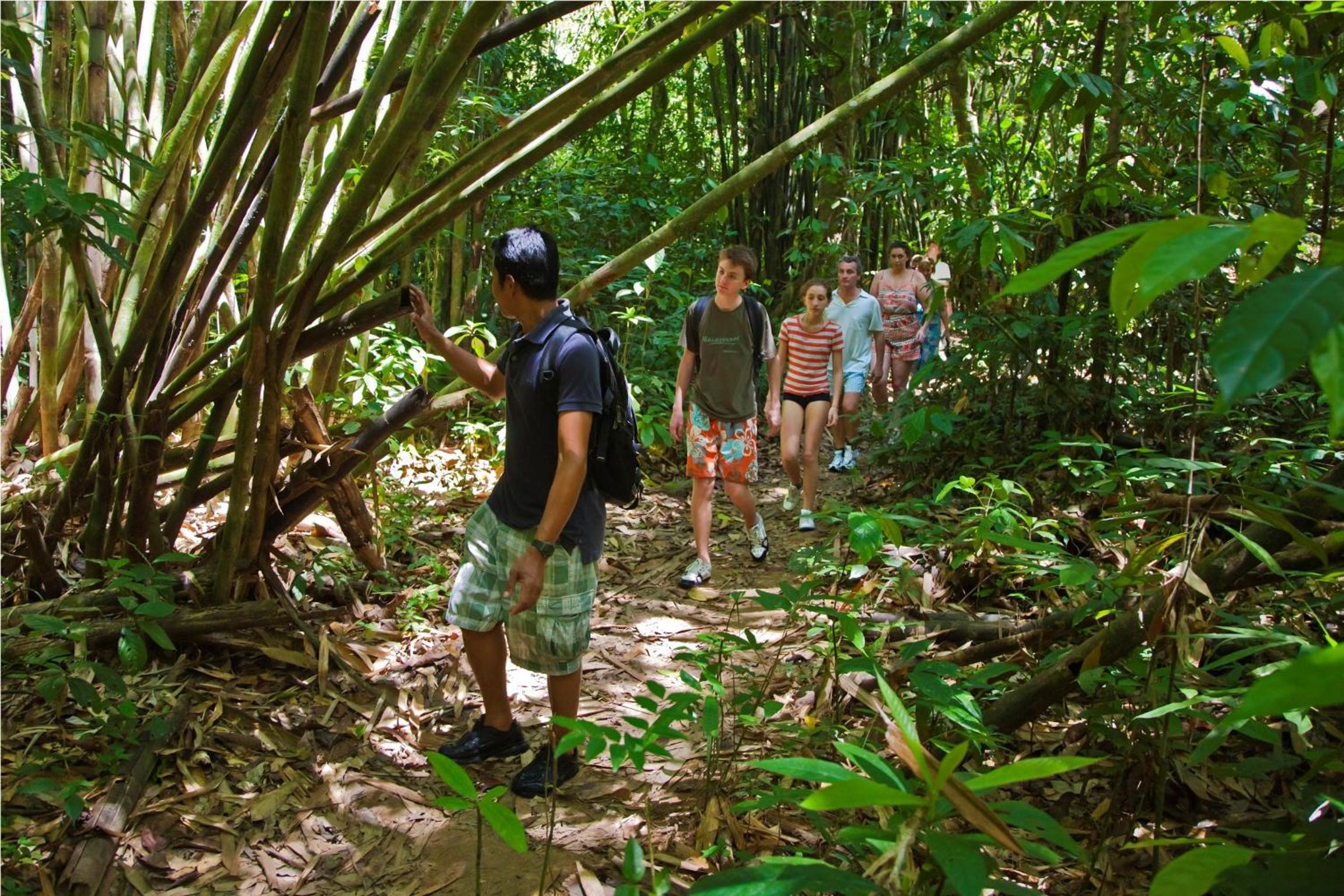 Khao Sok Riverside Cottages