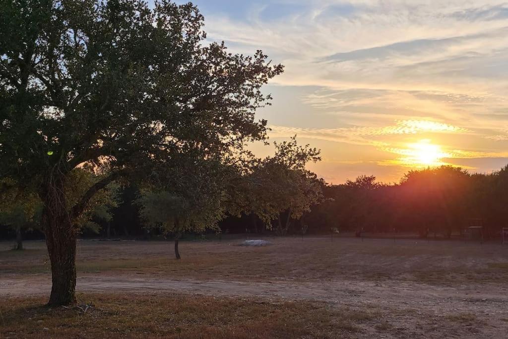 Shady Oaks Cottage: A Peaceful & Relaxing Getaway view 4