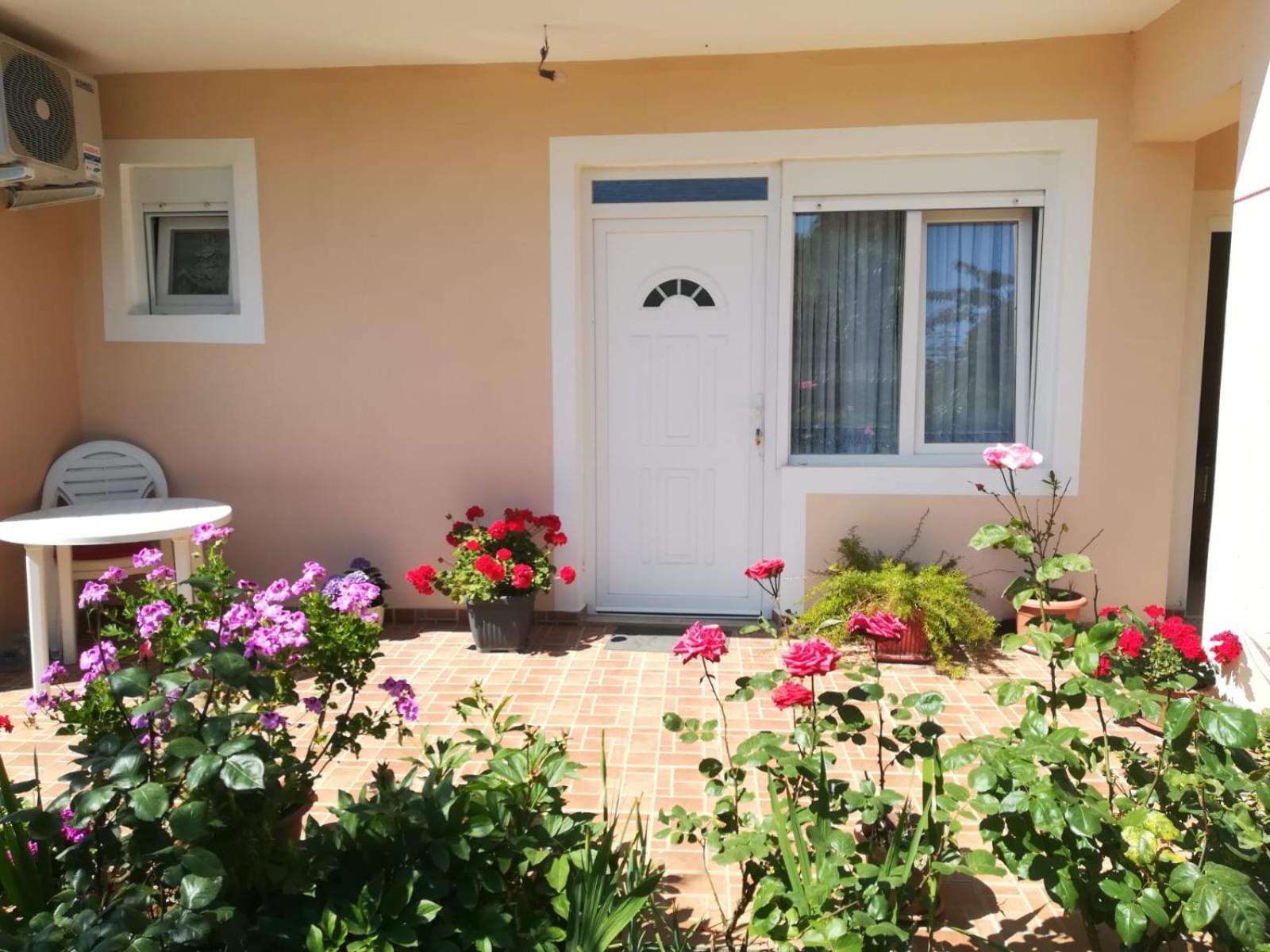 Apartmani Nena