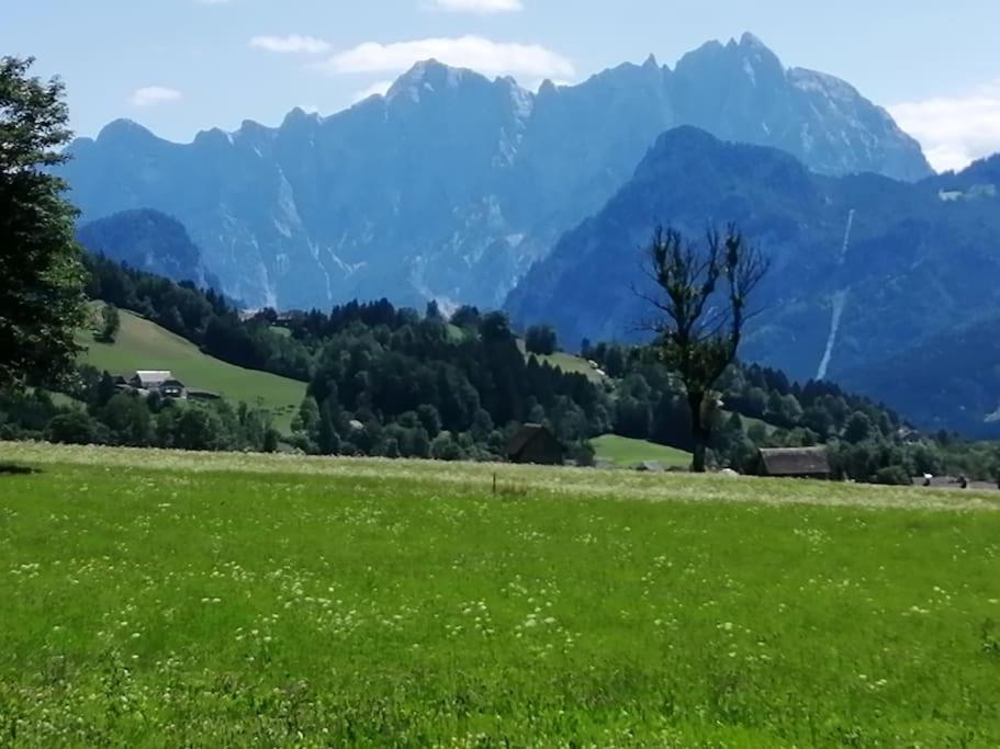 Ferienhäuschen Nationalpark Gesäuse
