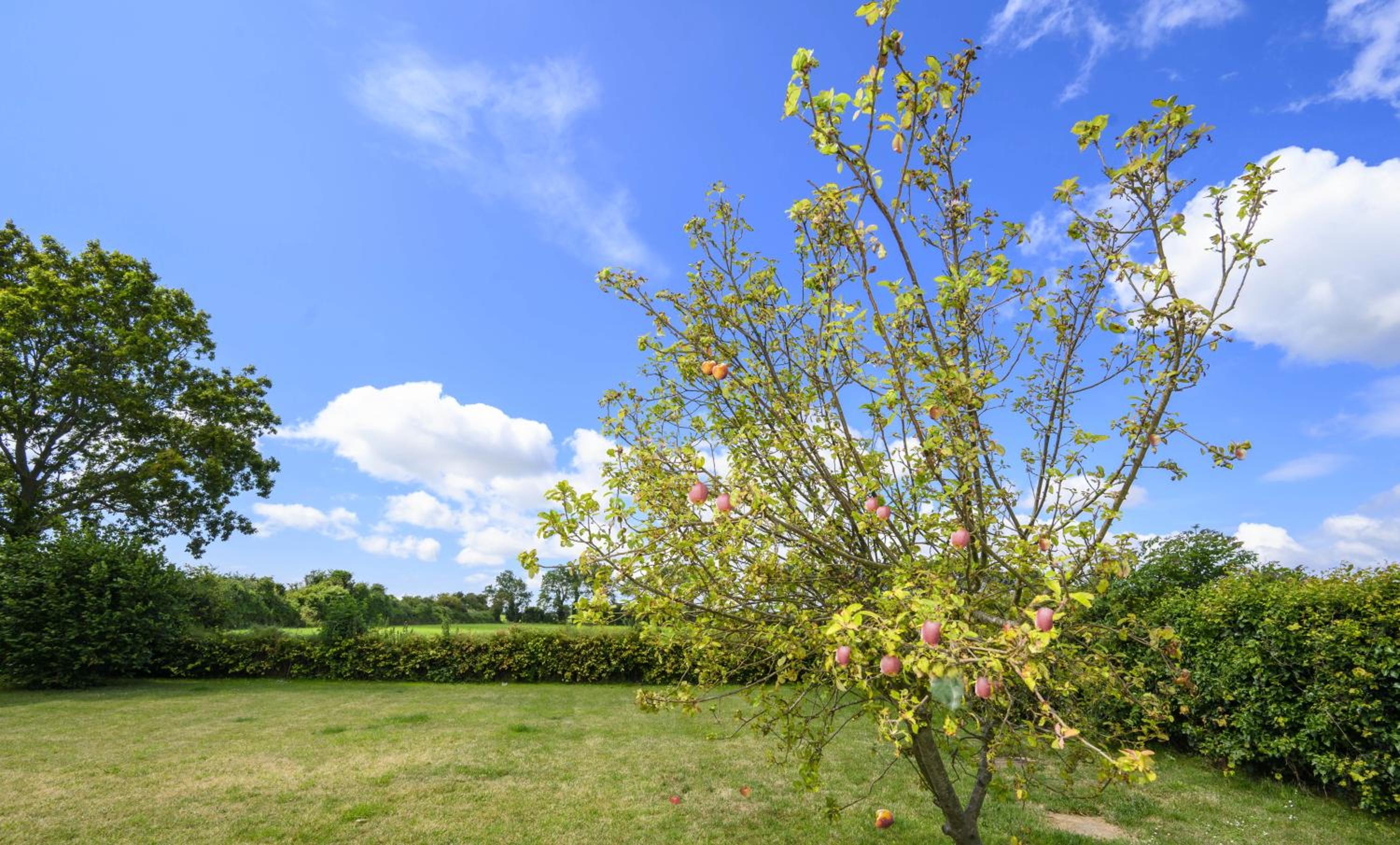 APPLEDOWN - Secluded Rural Retreat in Kingsdown, 10 mins to BEACH view 5