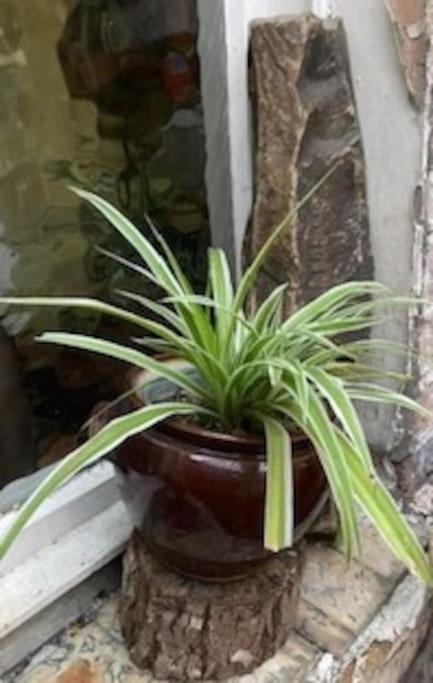 Photo 28
