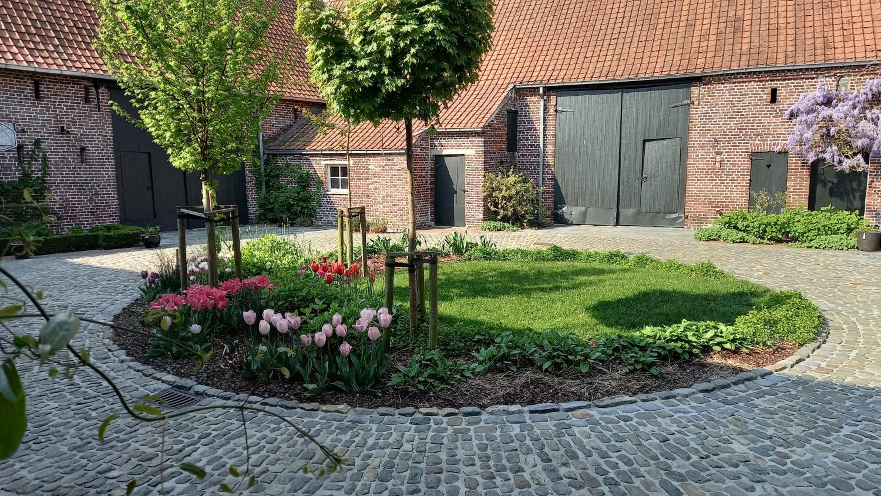 Hermelgemhoeve - Zonnebloem