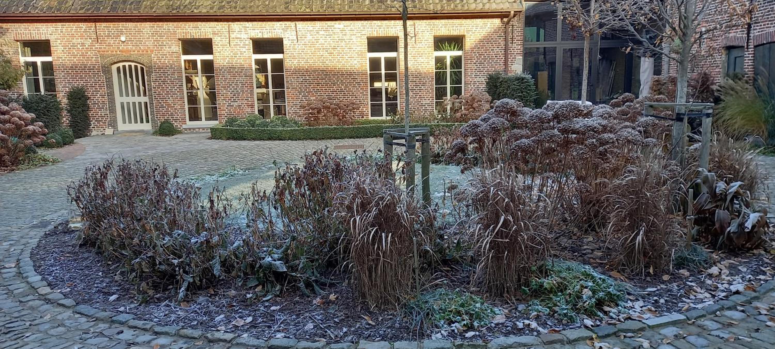 Hermelgemhoeve - Zonnebloem