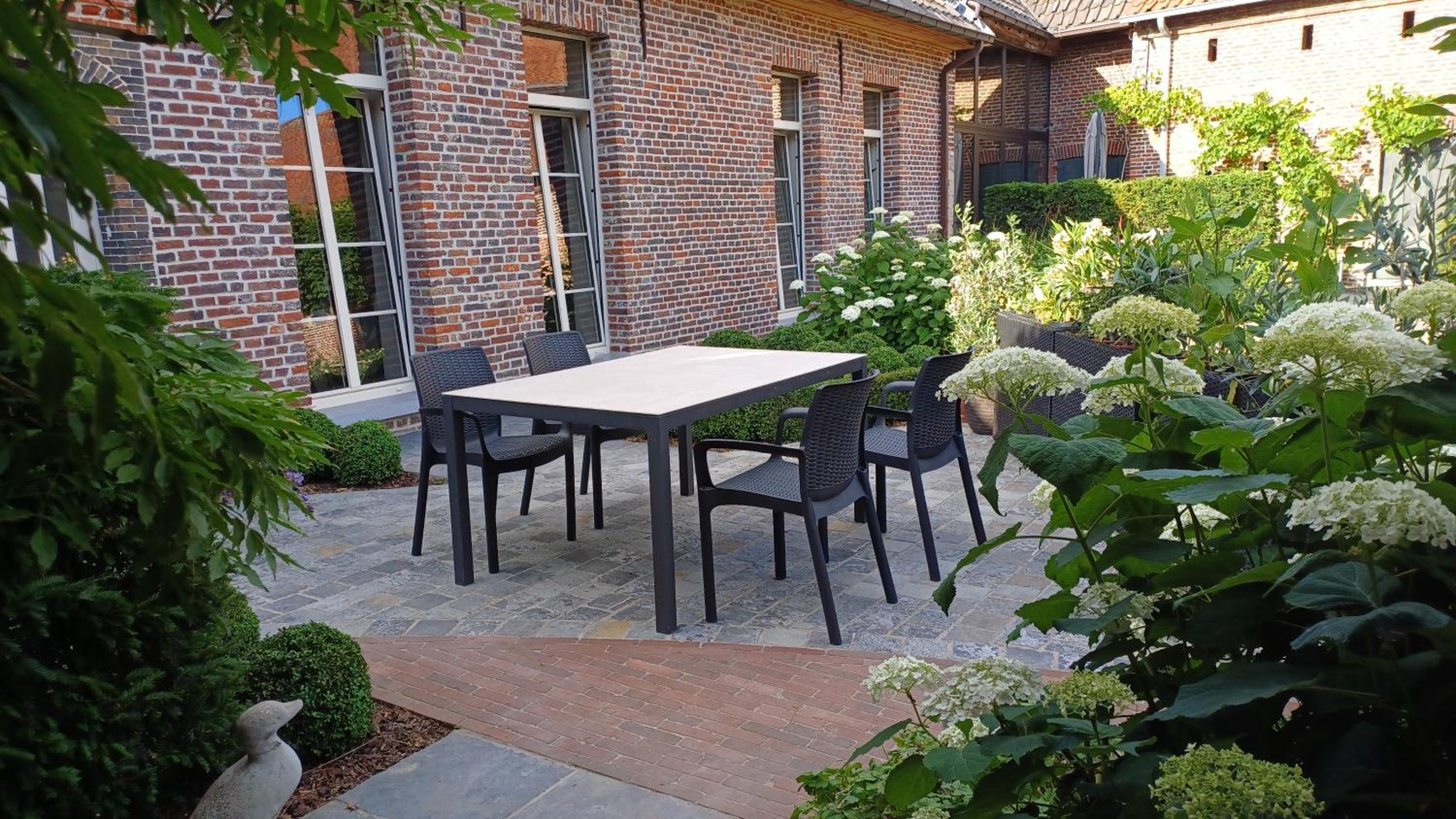 Hermelgemhoeve - Zonnebloem
