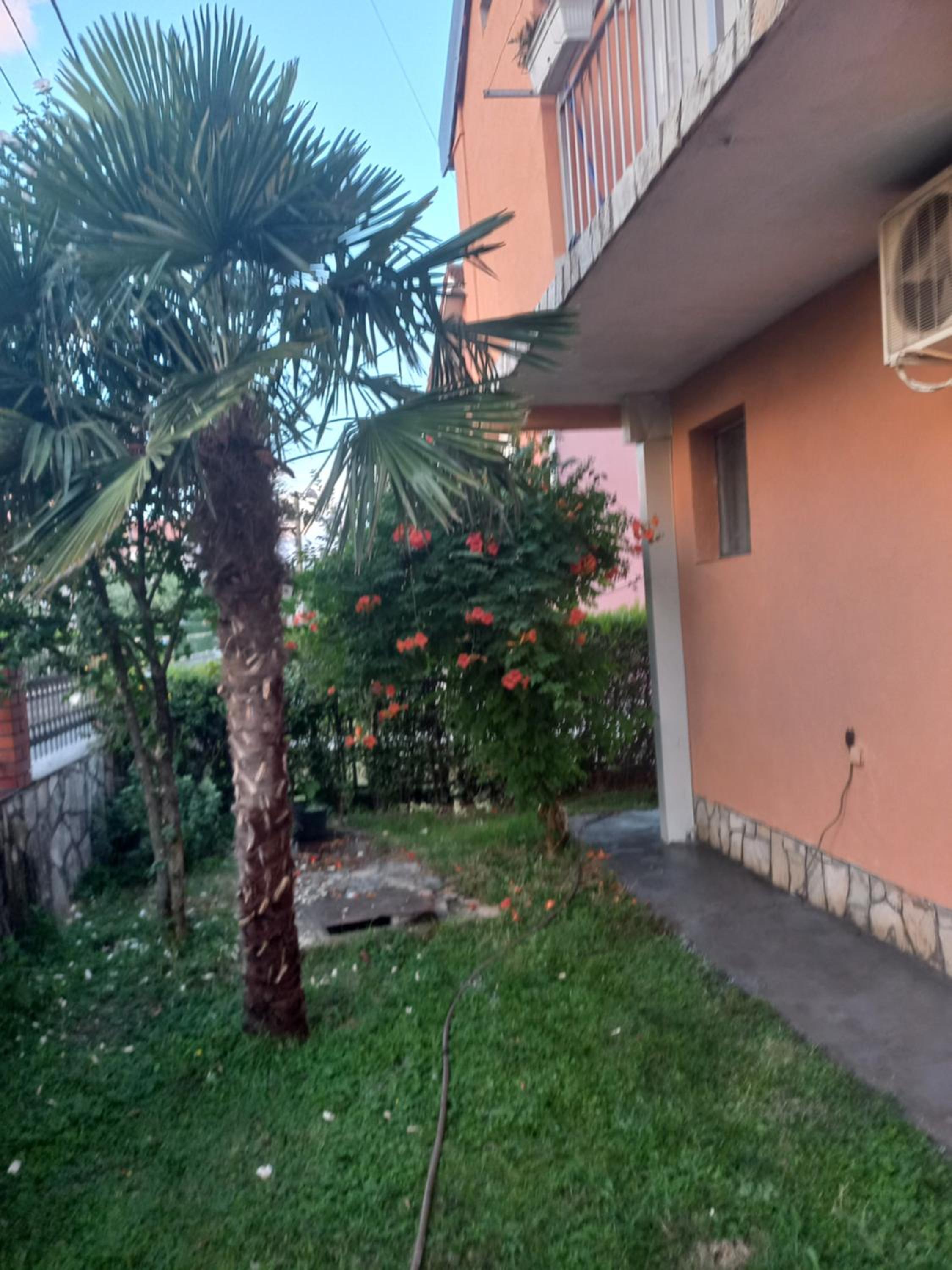 Hostel Dragana