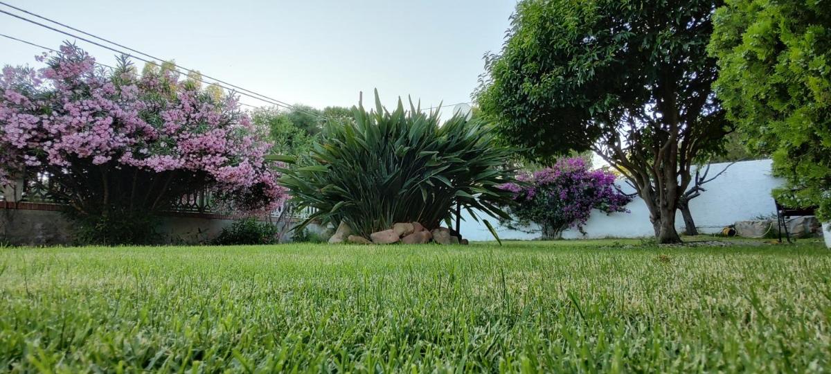 Villa Teresa view 5
