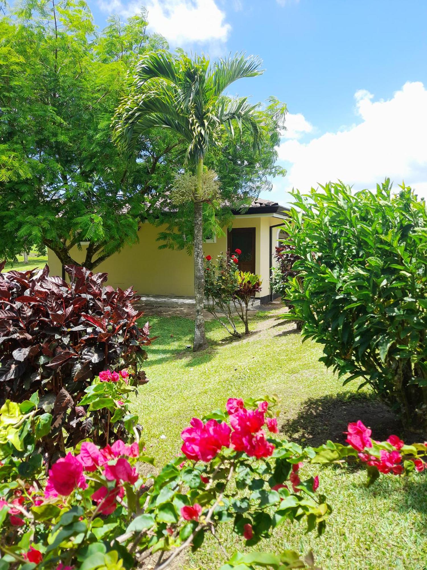 Lakeview Arenal Suite - 2025-2026 Traveller Award Winners