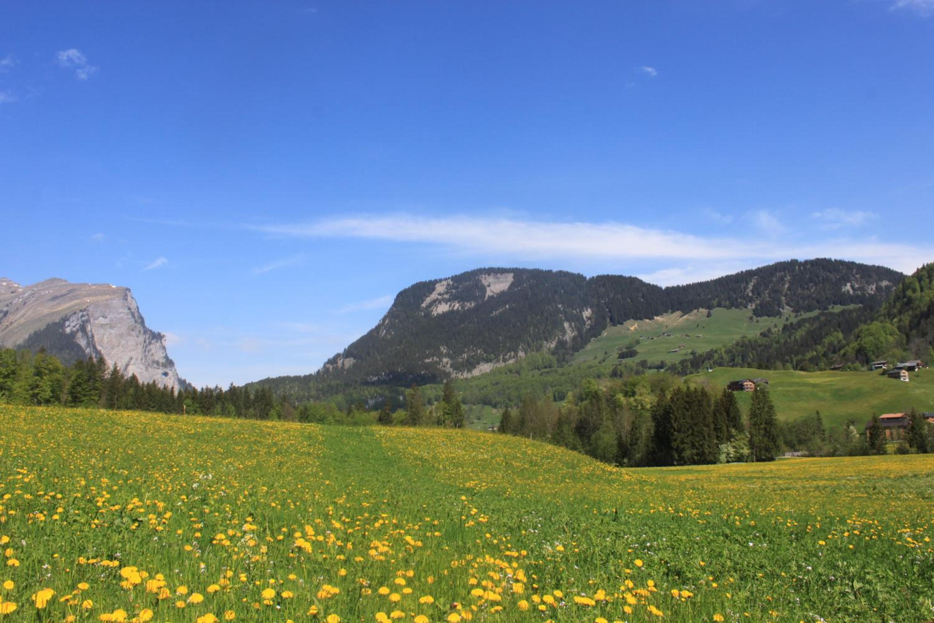 Kanistraum Appartement