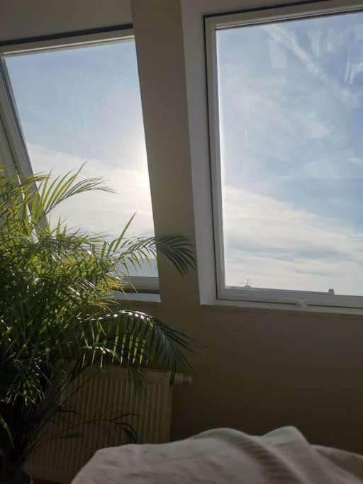 Stilvolle hochwertige Wohnung im Stadtzentrum