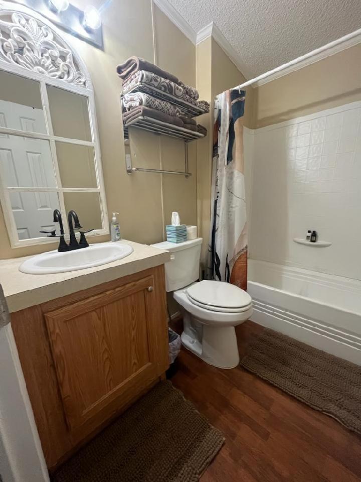 Photo 19
