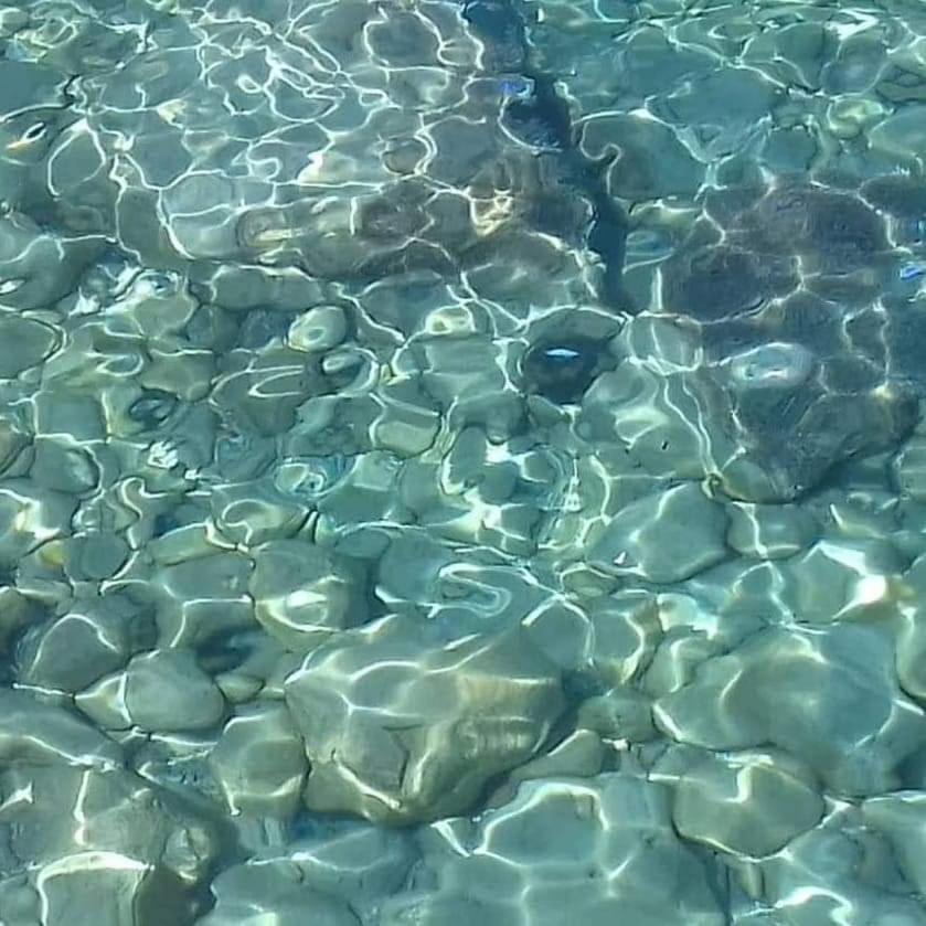 Bluflest