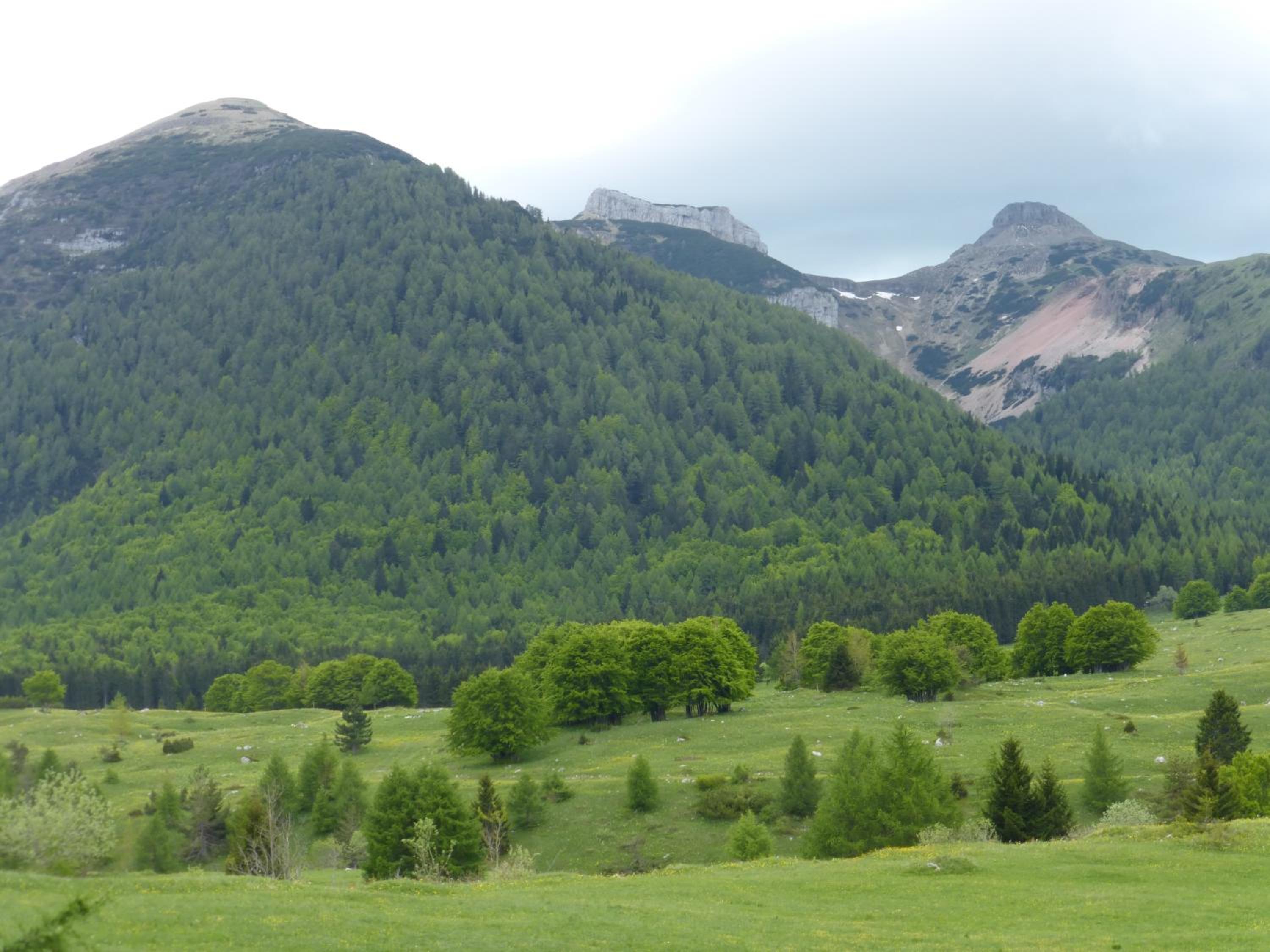 Casa Pederzolli - view 3