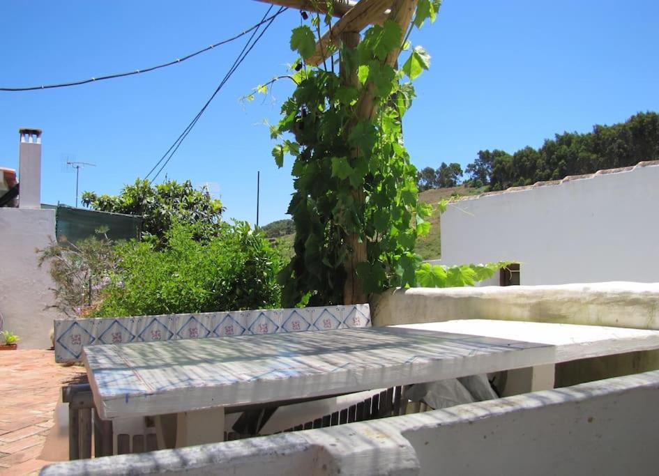 Casa das Flores view 3