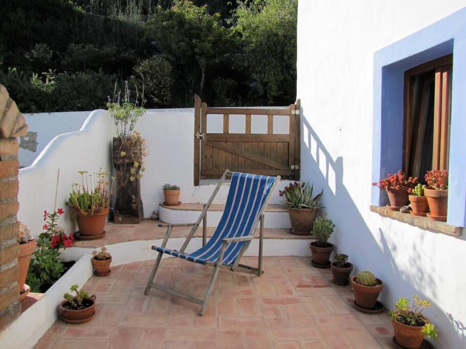 Casa das Flores view 5