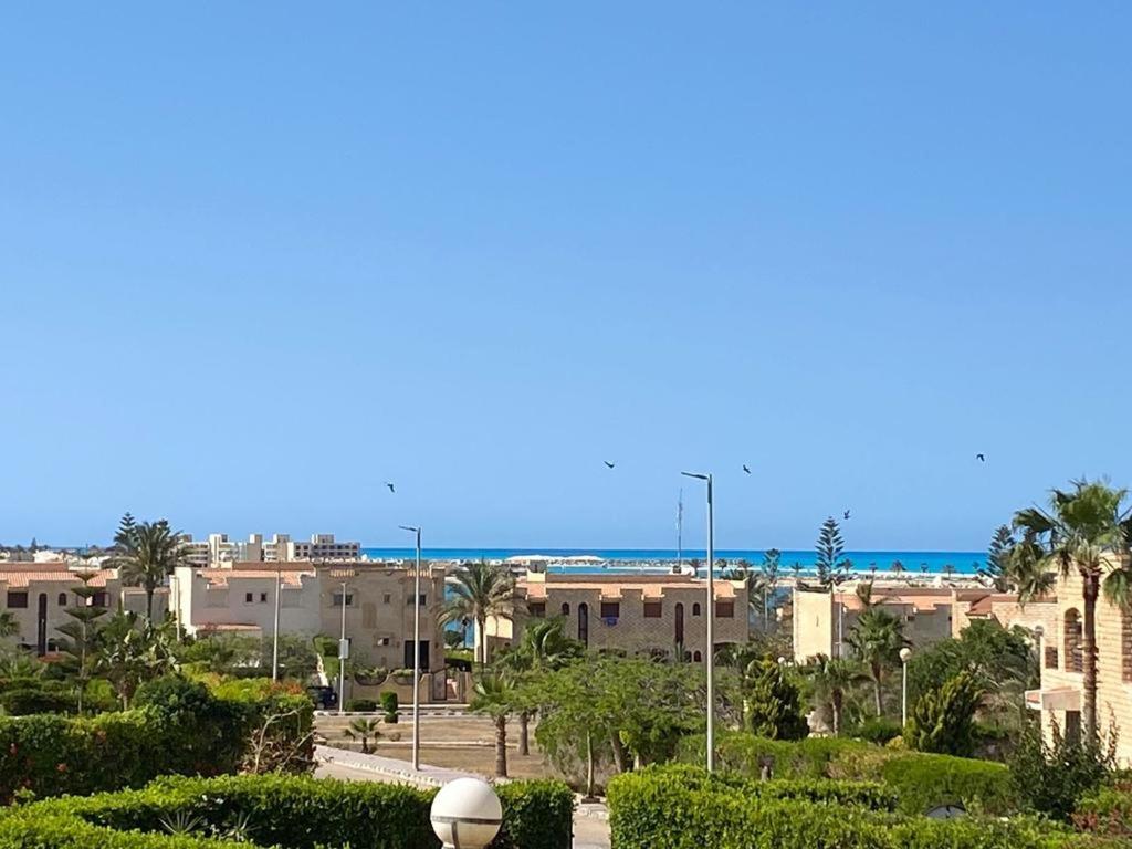 Marina 4, photo 4