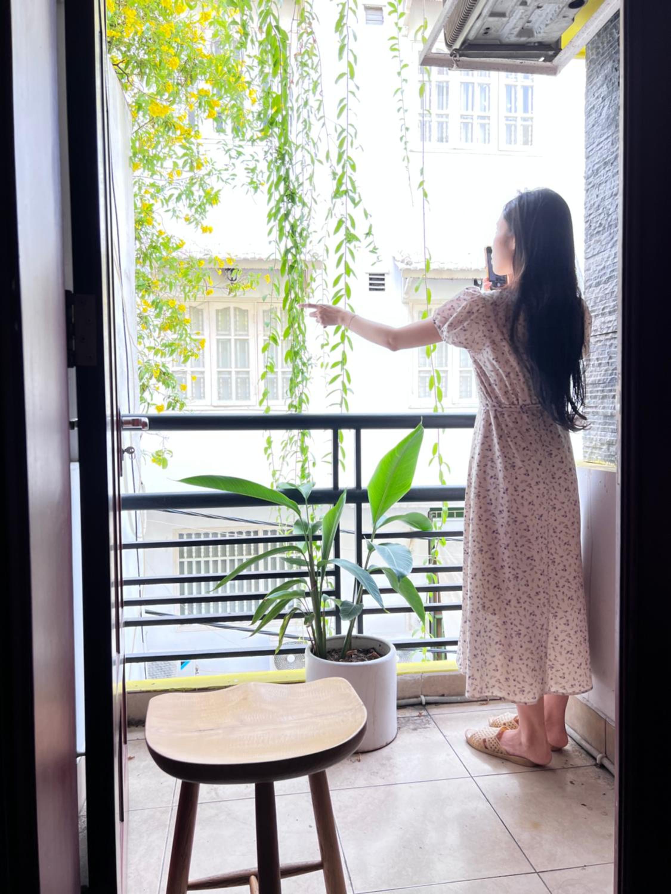 Cỏ Homestay Ben Thanh